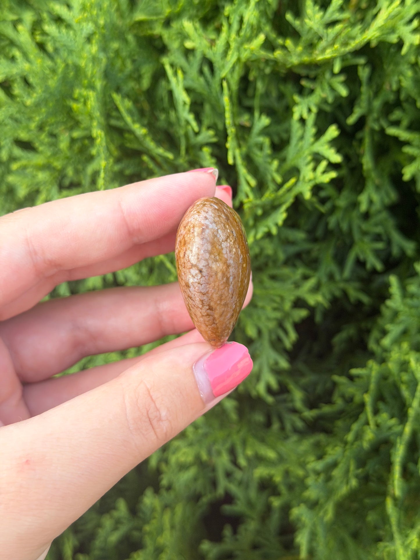 Mini Ocean Jasper Heart