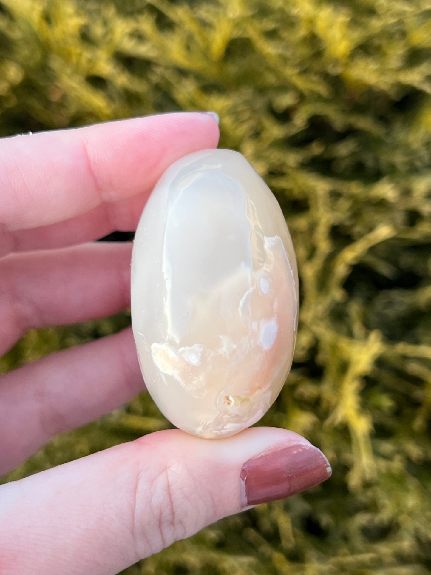 Flower Agate Palm Stone