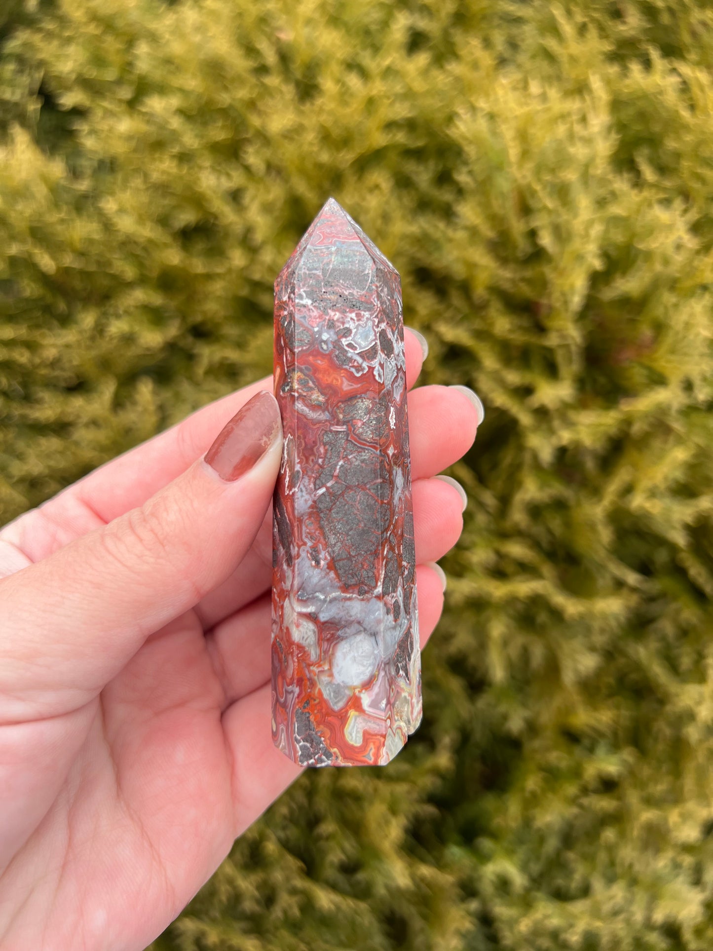 Mexico Lace Agate Point
