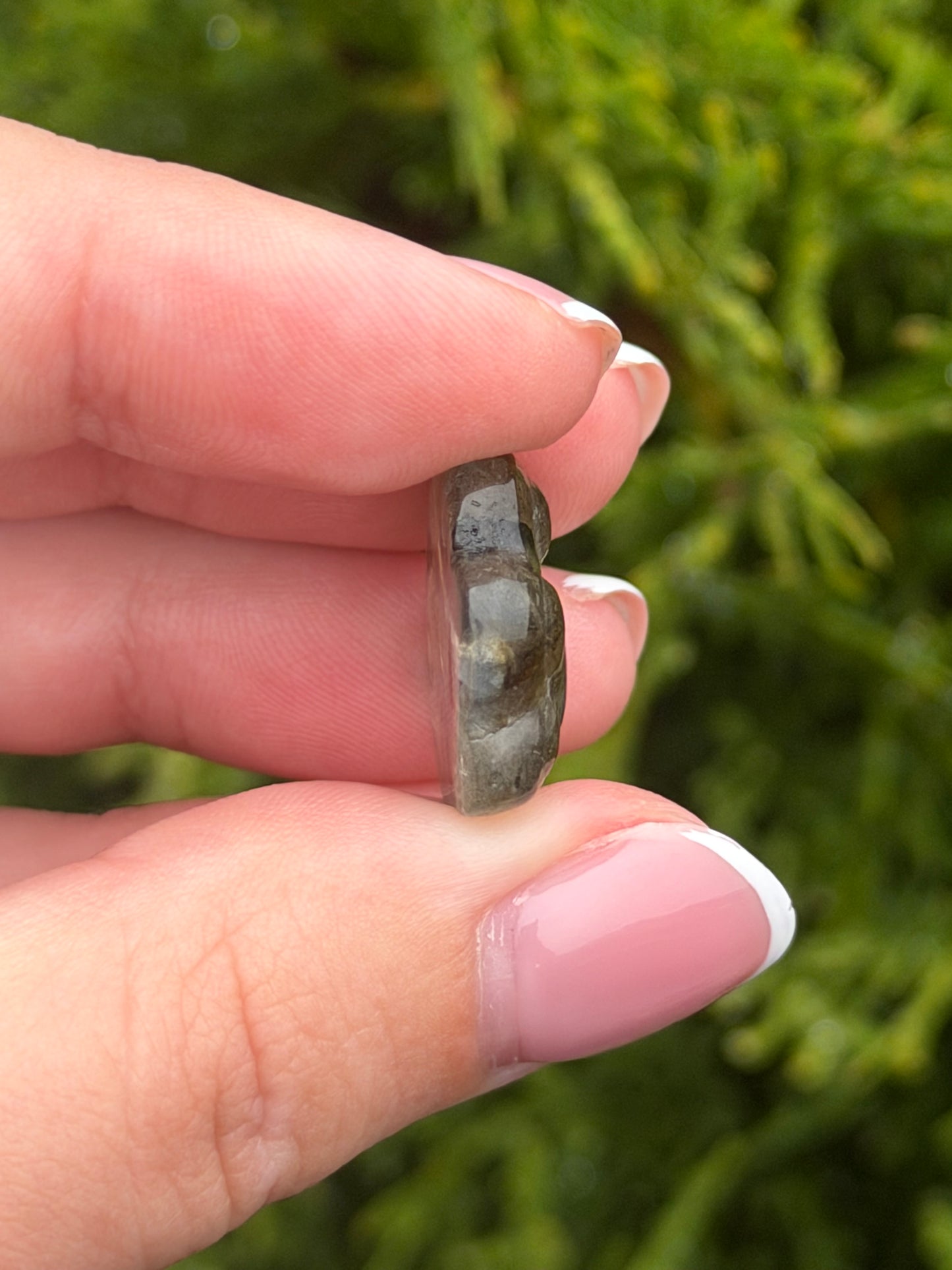 Mini Labradorite Paw