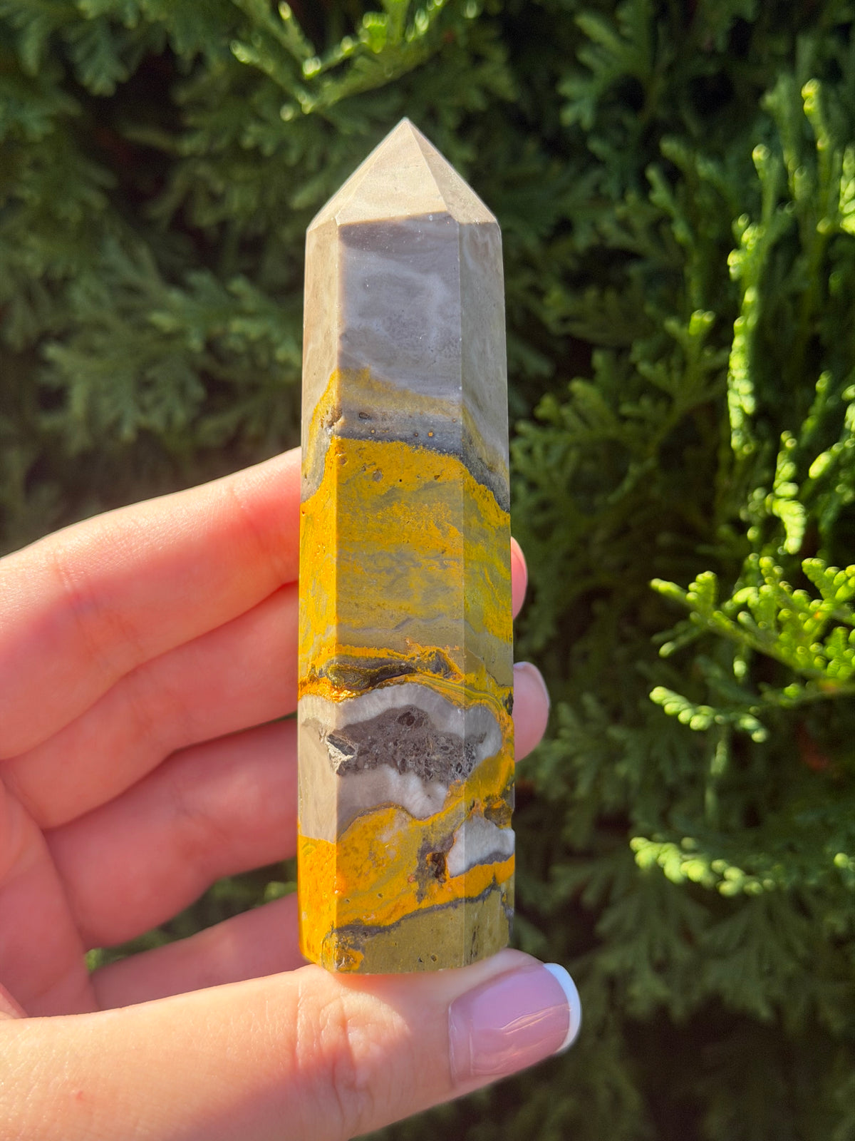 Bumblebee Jasper Point #1