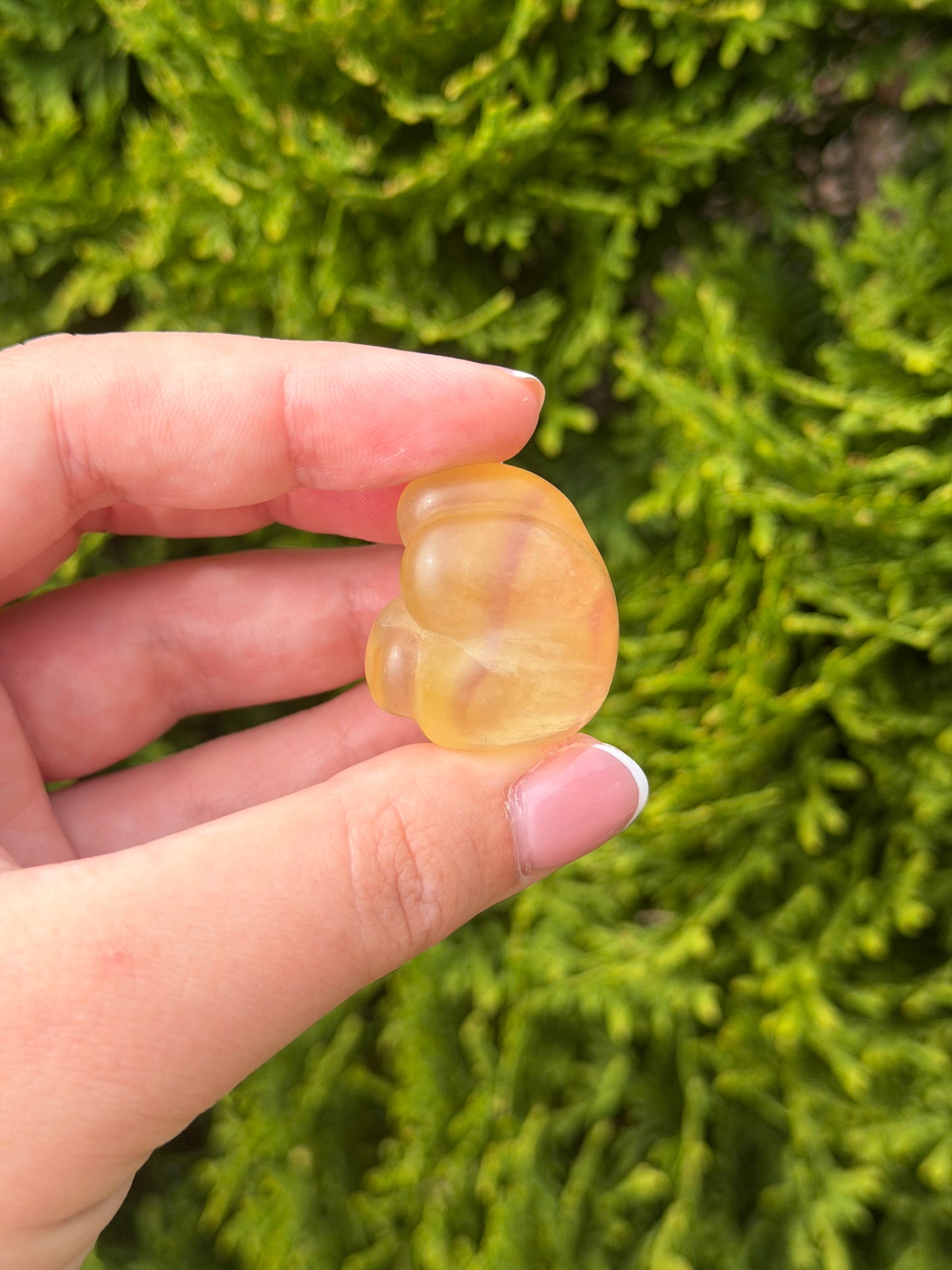 Yellow Fluorite Cat Paw 3