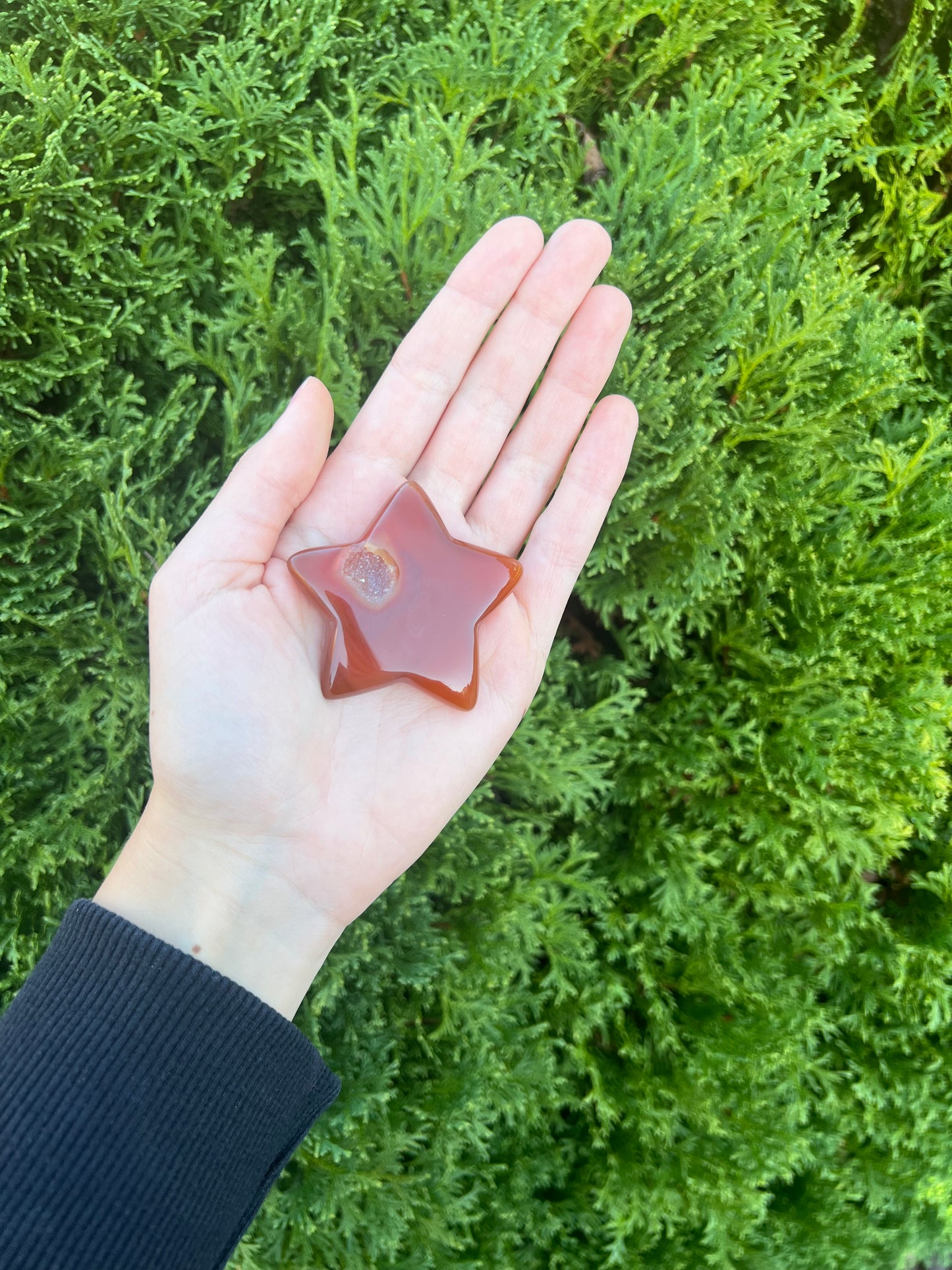 Carnelian Druzy Star