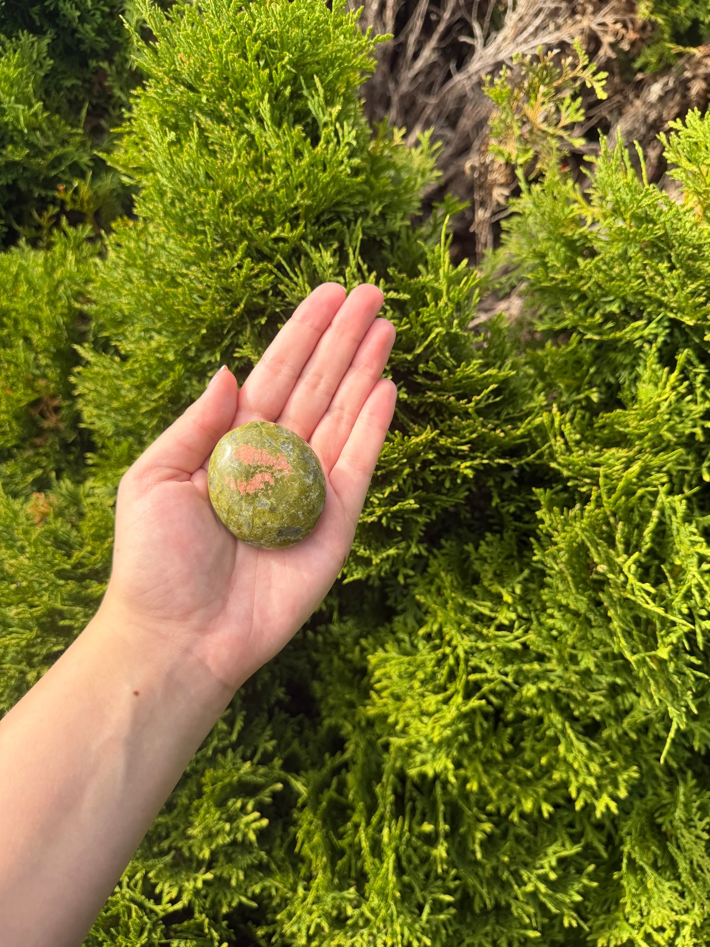 Unakite Palm Stone