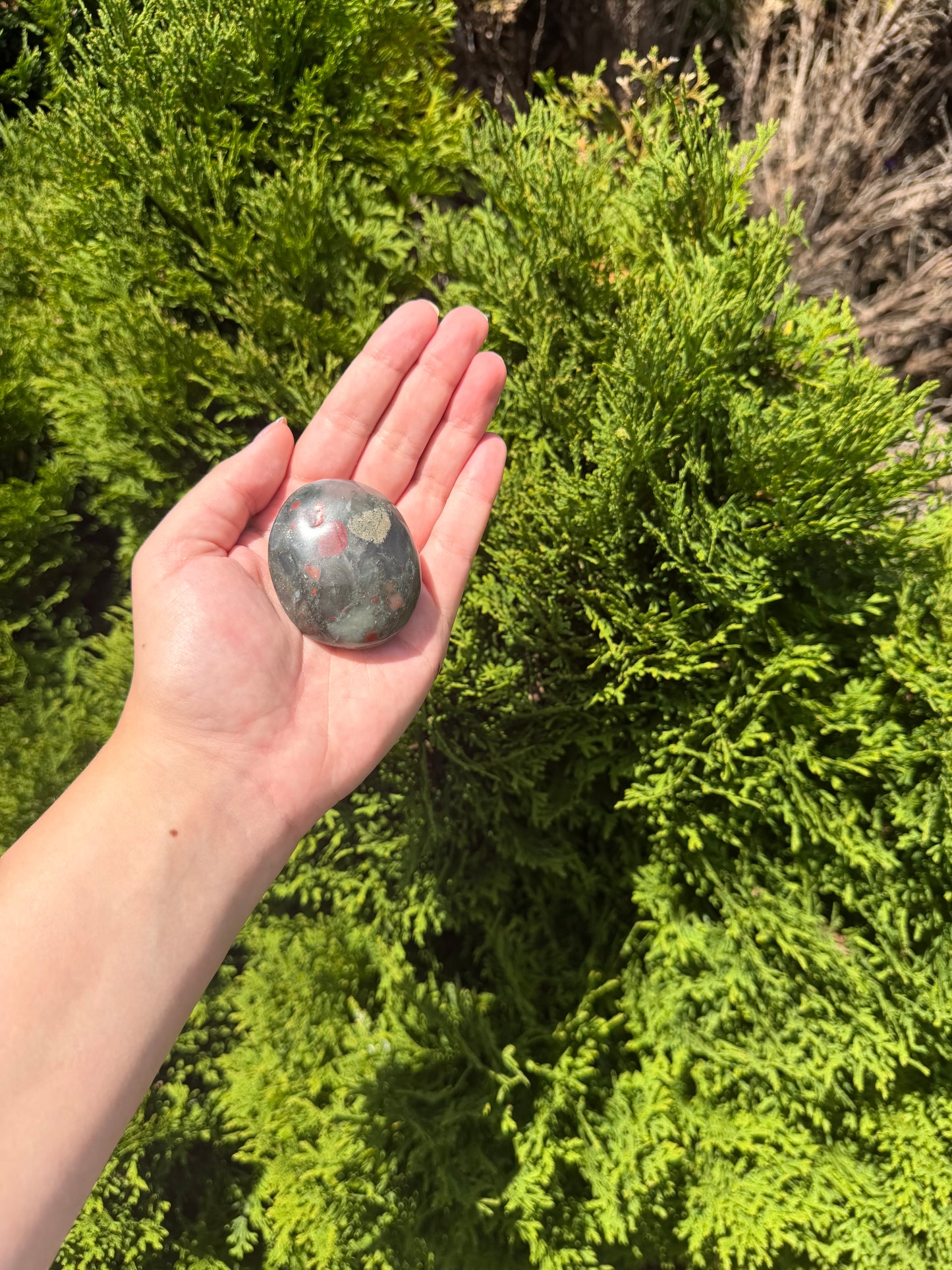 African Bloodstone Palm Stone 2