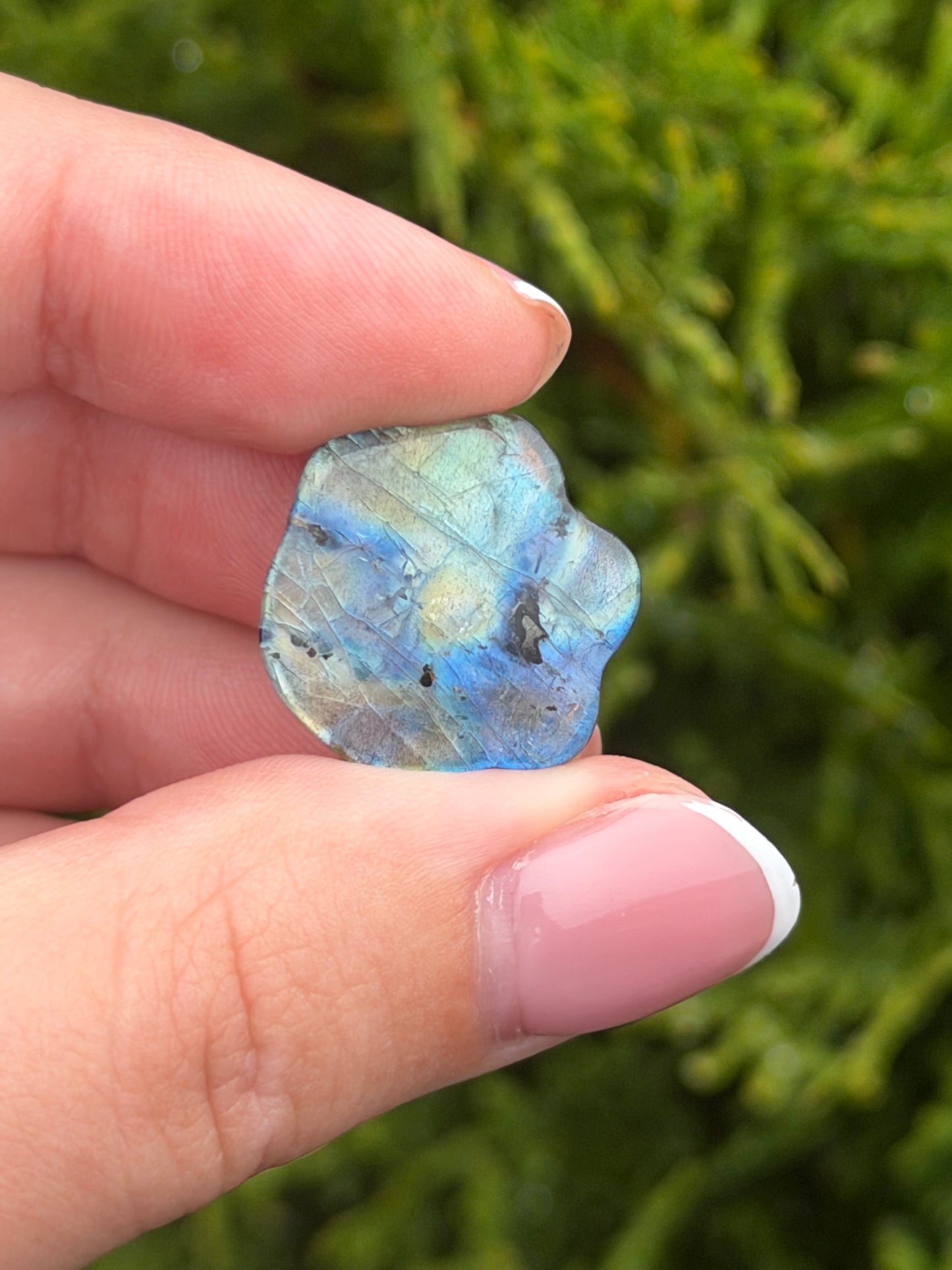 Mini Labradorite Paw