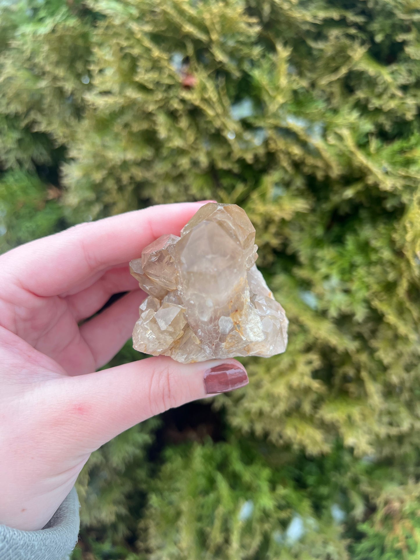 Kundalini Citrine Cluster