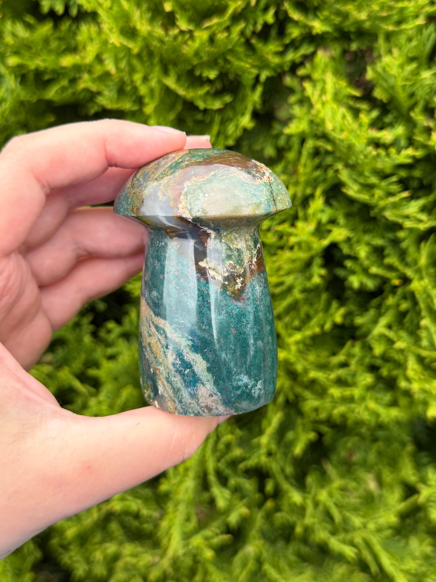 Ocean Jasper Mushroom