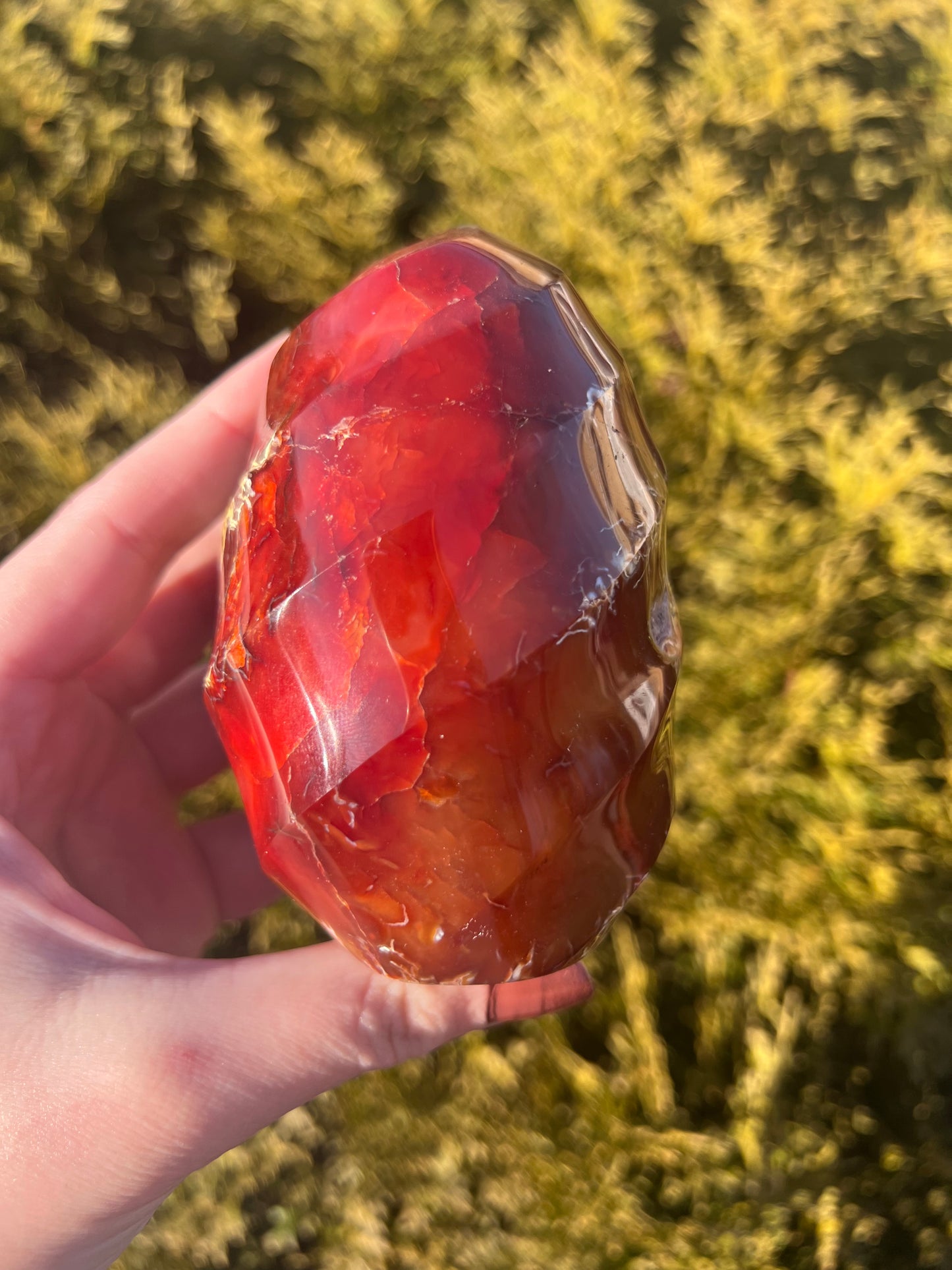 Carnelian Flame 2