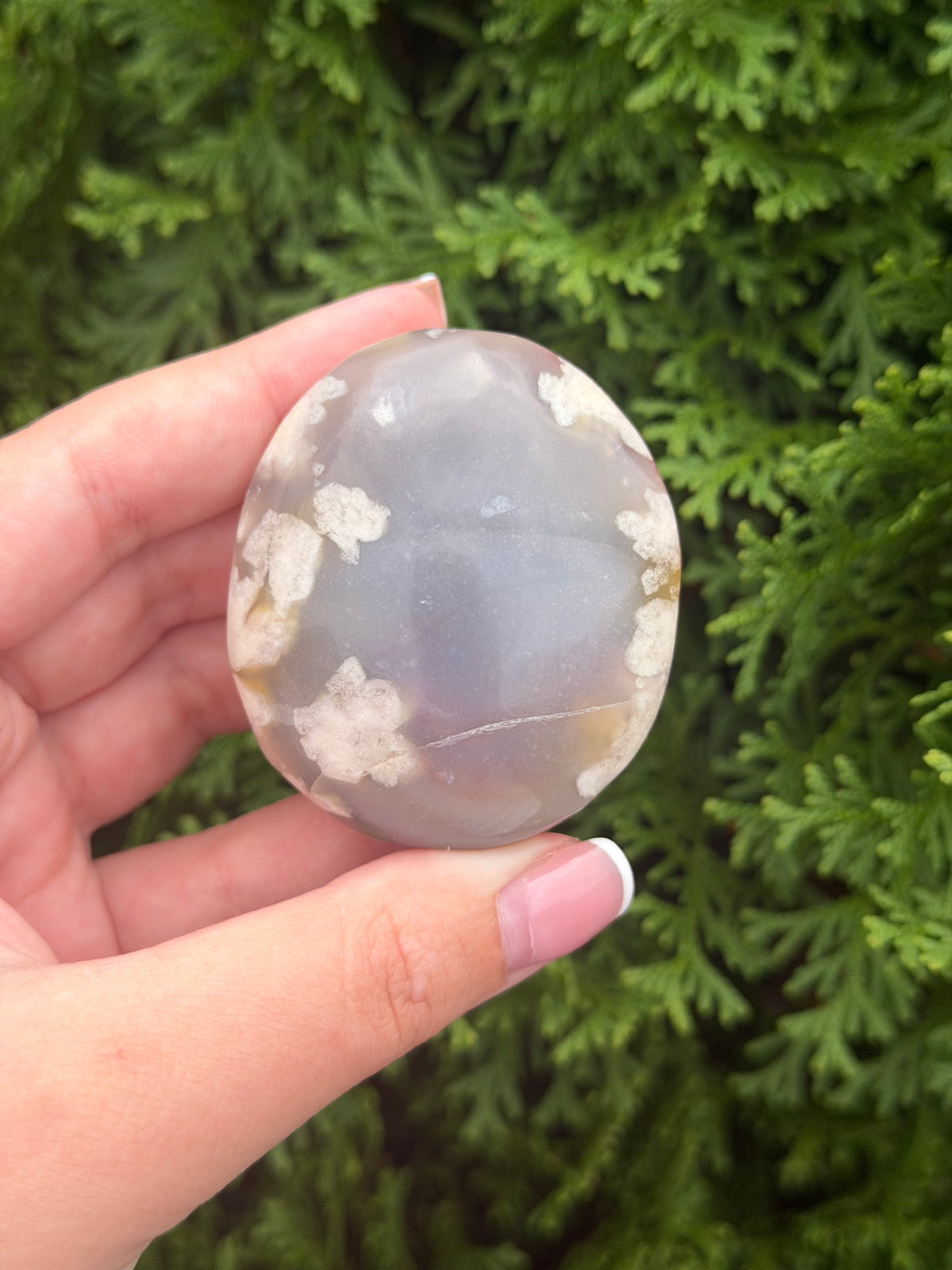 Flower Agate Palm Stone