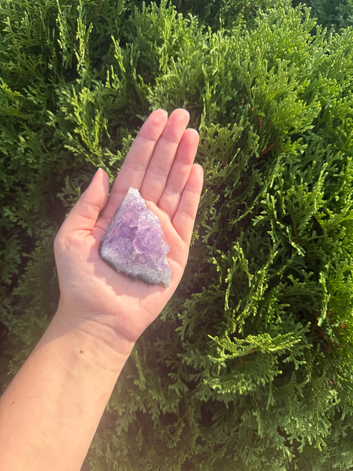 Raw Amethyst Cluster