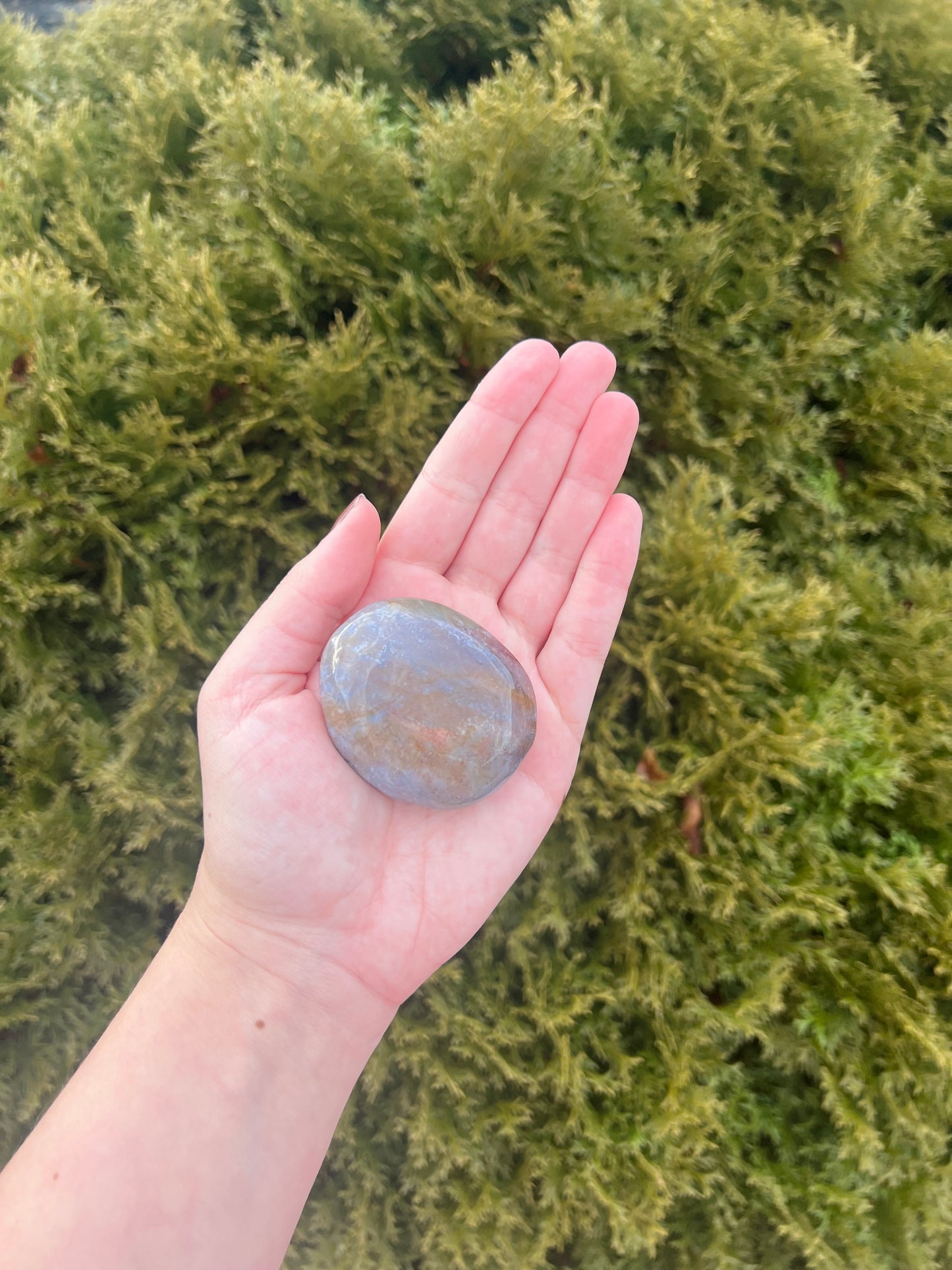 Ocean Jasper Palm Stone
