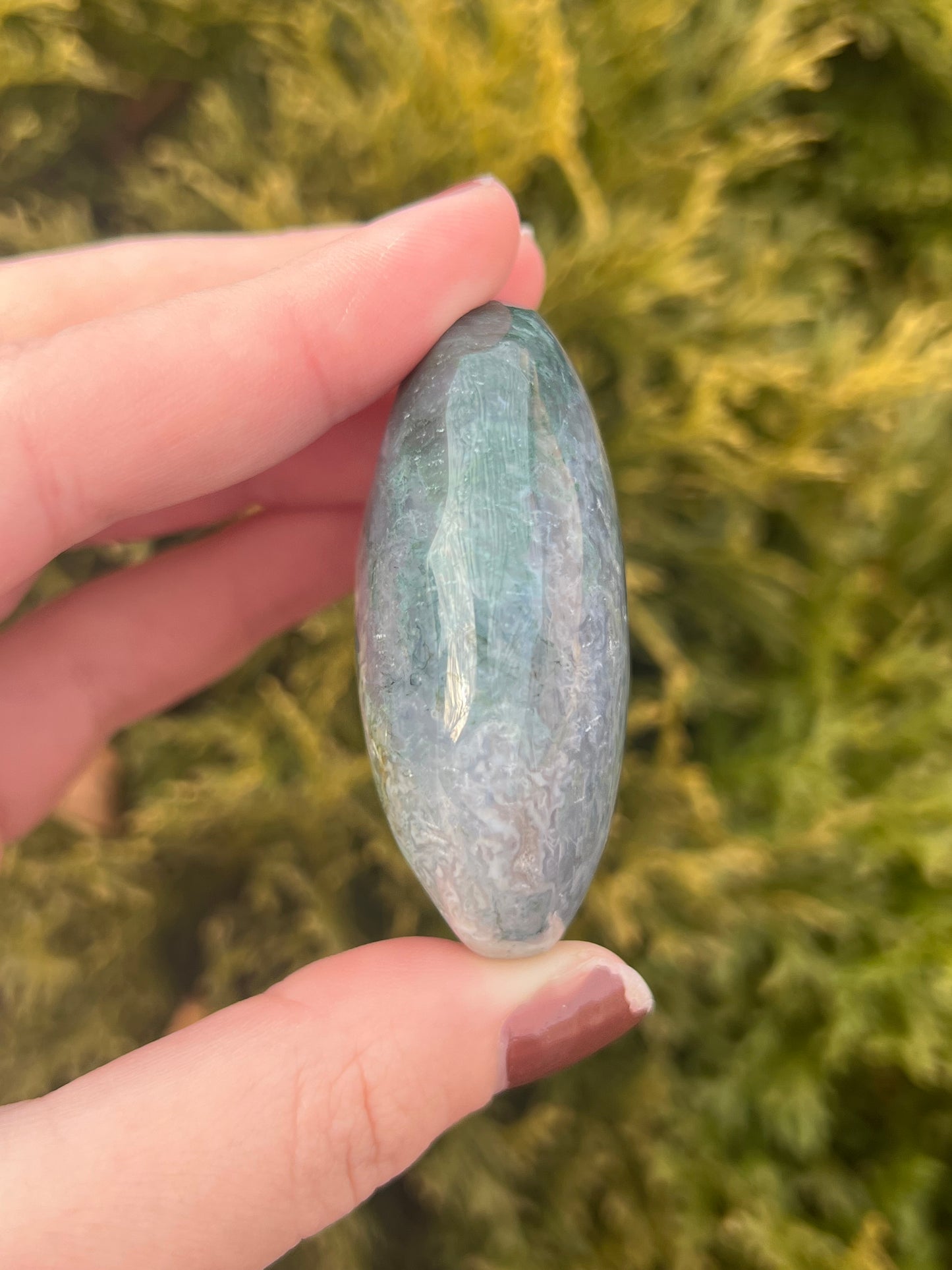 Moss Agate Palm Stone
