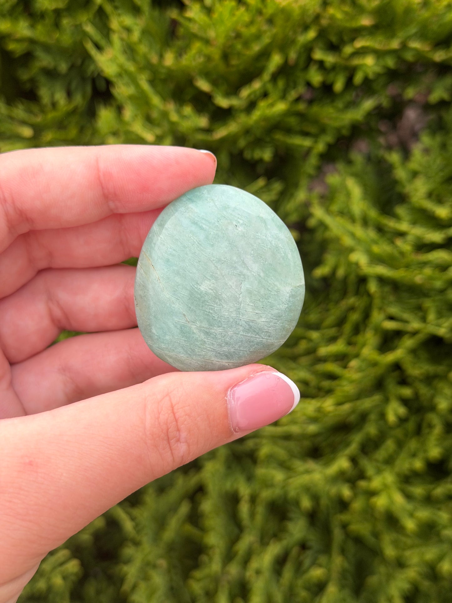 Amazonite Palm Stone