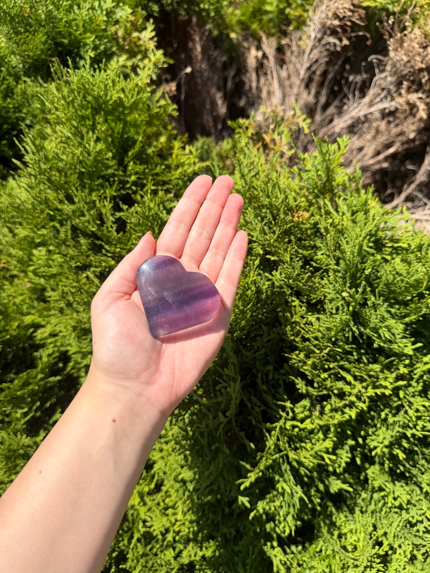Fluorite Heart F