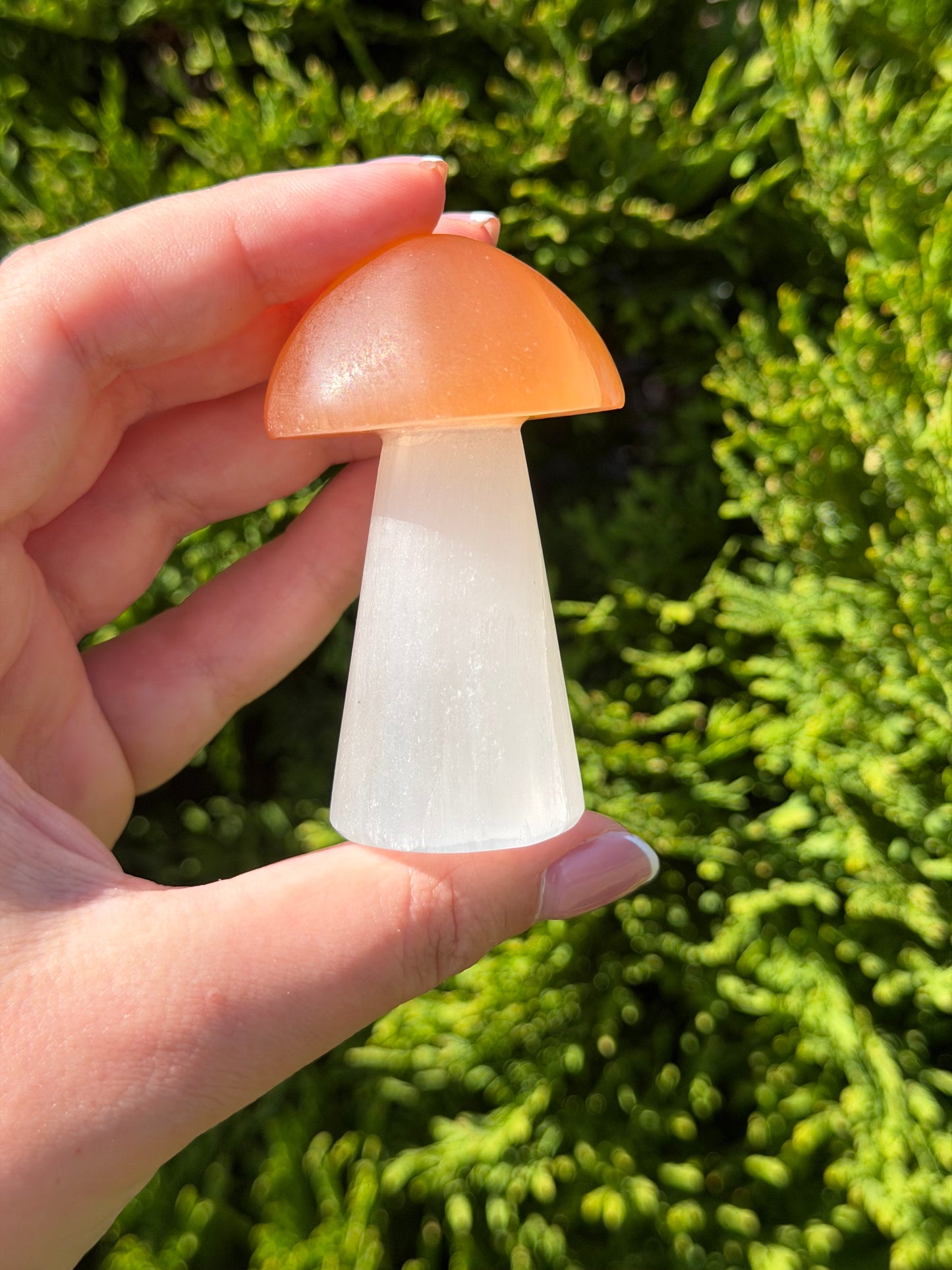 Large Selenite Mushroom