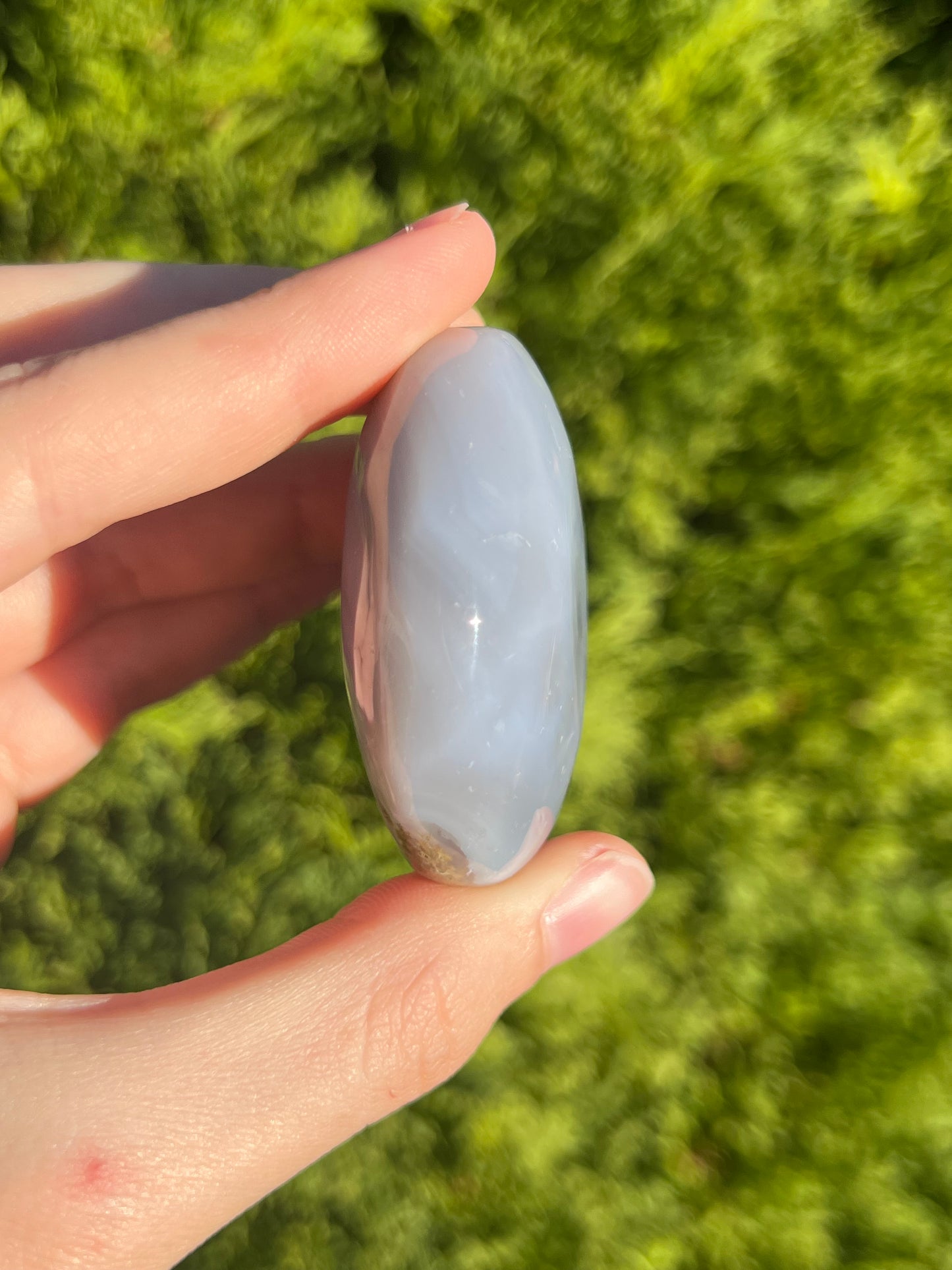 Agate Palm Stone with little bit of moss