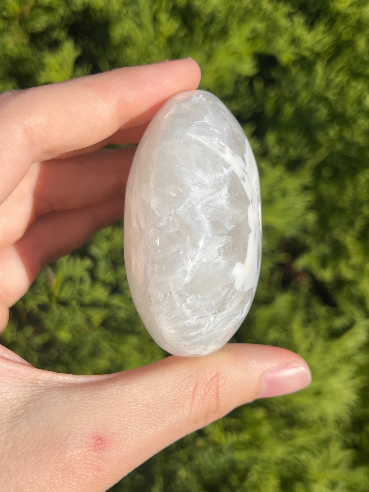 Agate Palm Stone