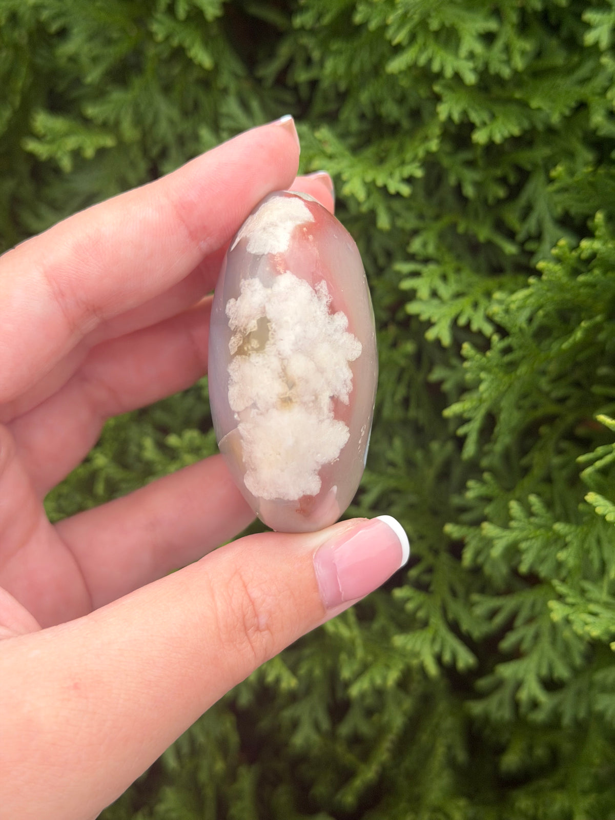 Flower Agate Palm Stone
