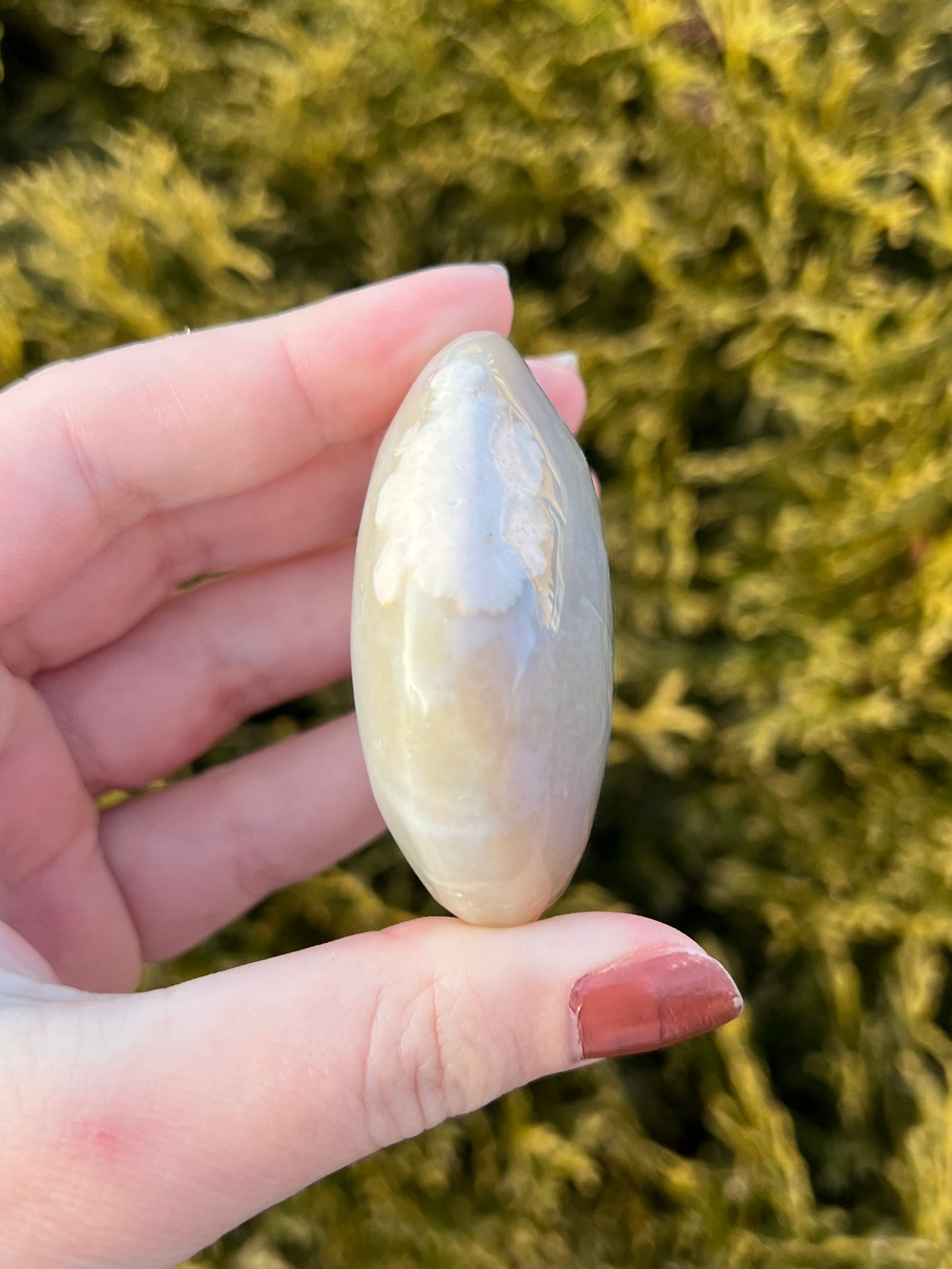 Flower Agate Palm Stone
