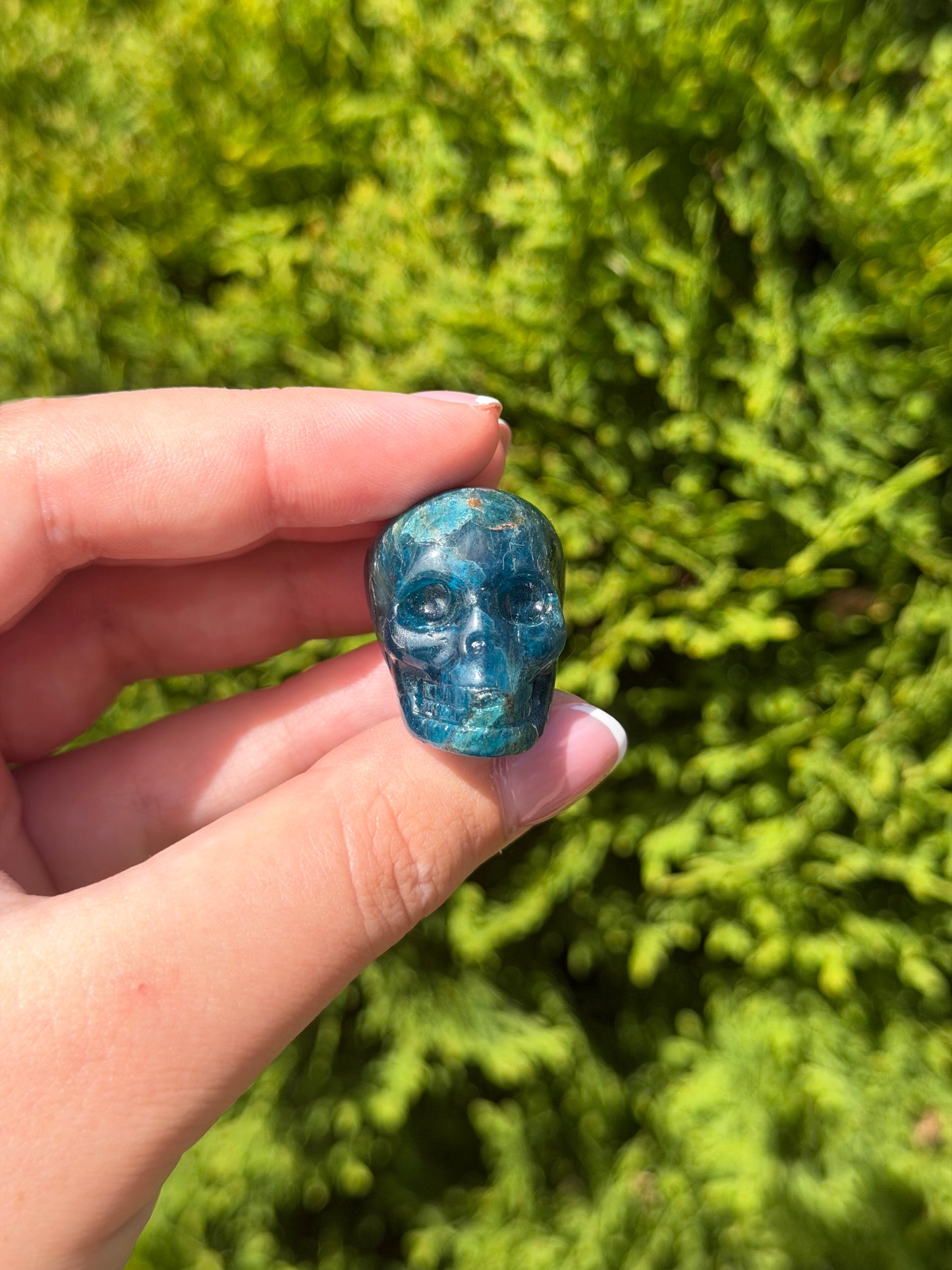 Blue Apatite Mini Skull
