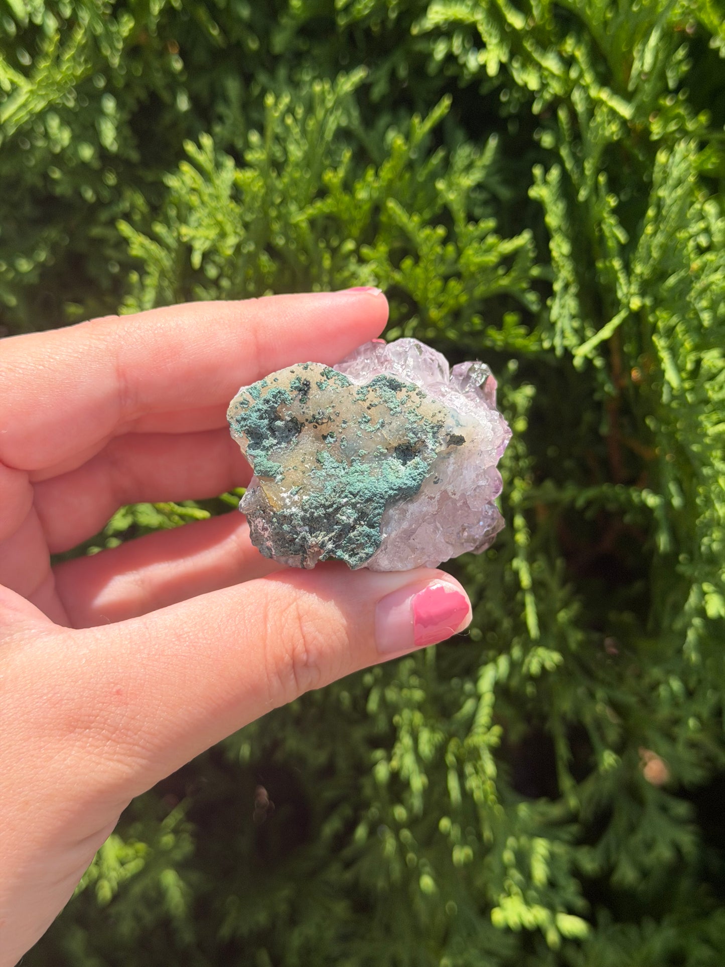 Raw Amethyst Cluster