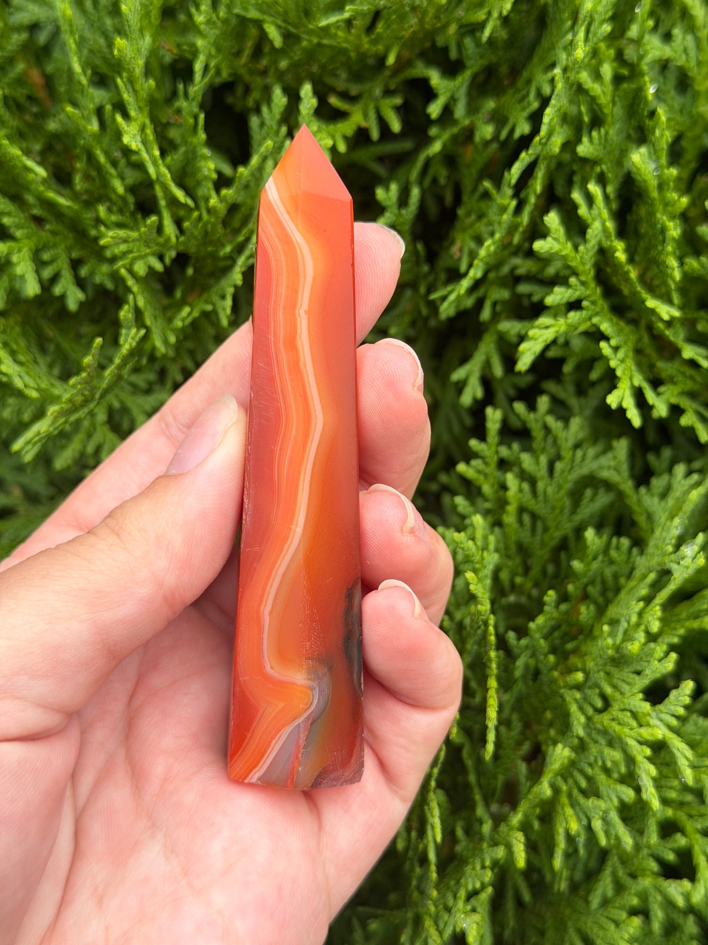 Carnelian Point