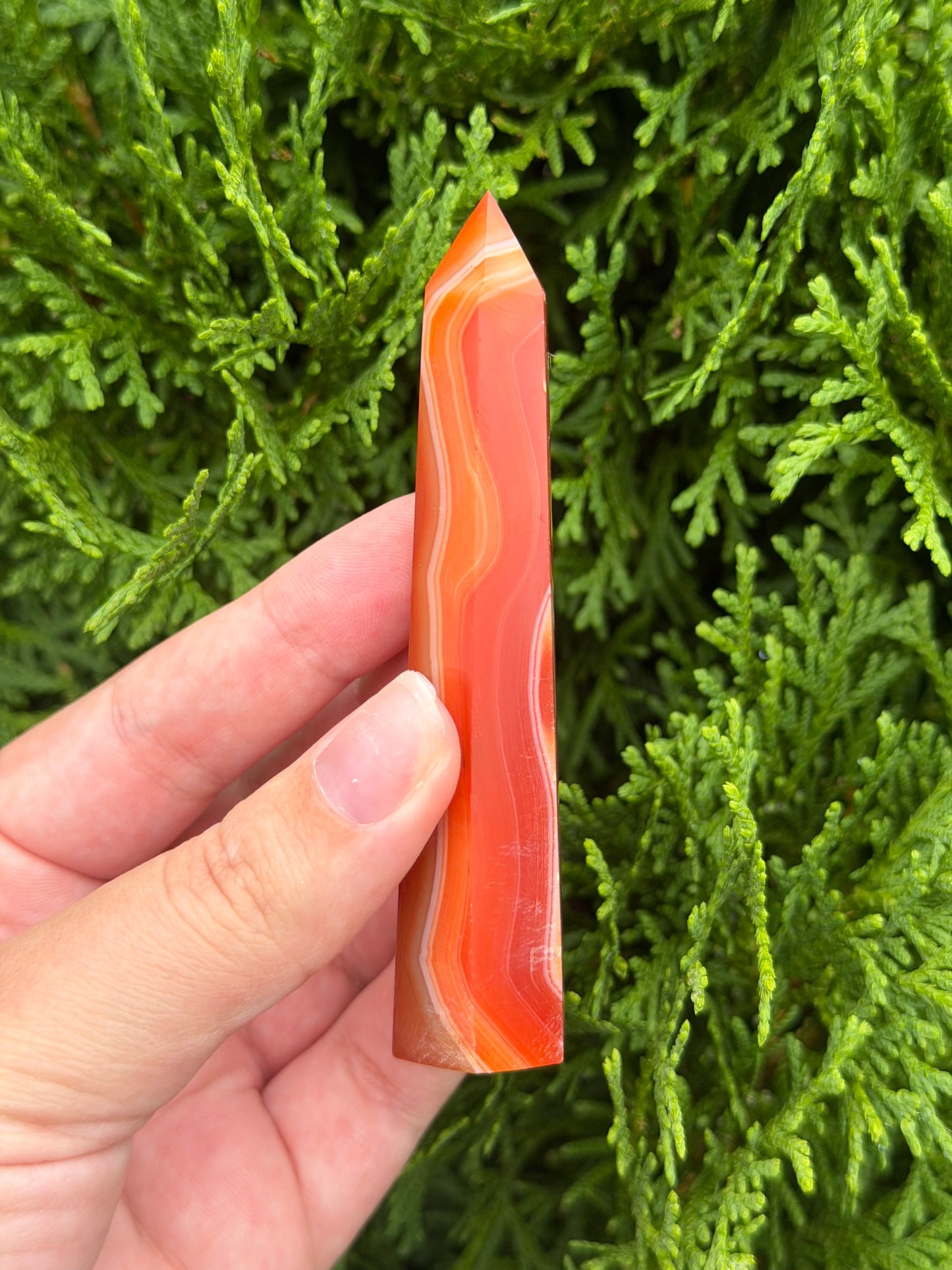 Carnelian Point