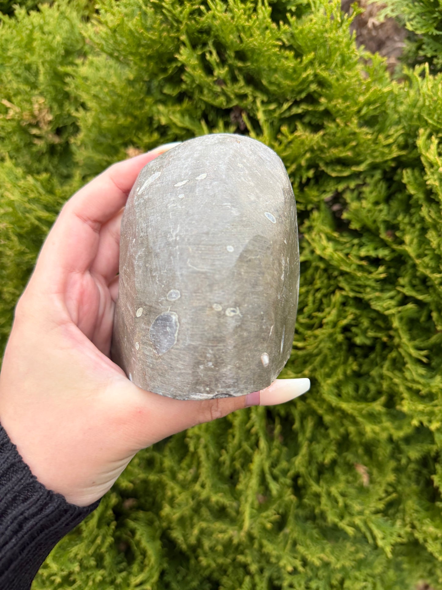 Rainbow Amethyst Cut Base