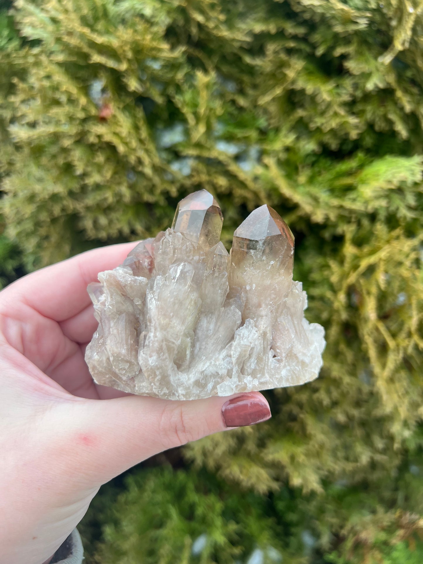 Kundalini Citrine Cluster