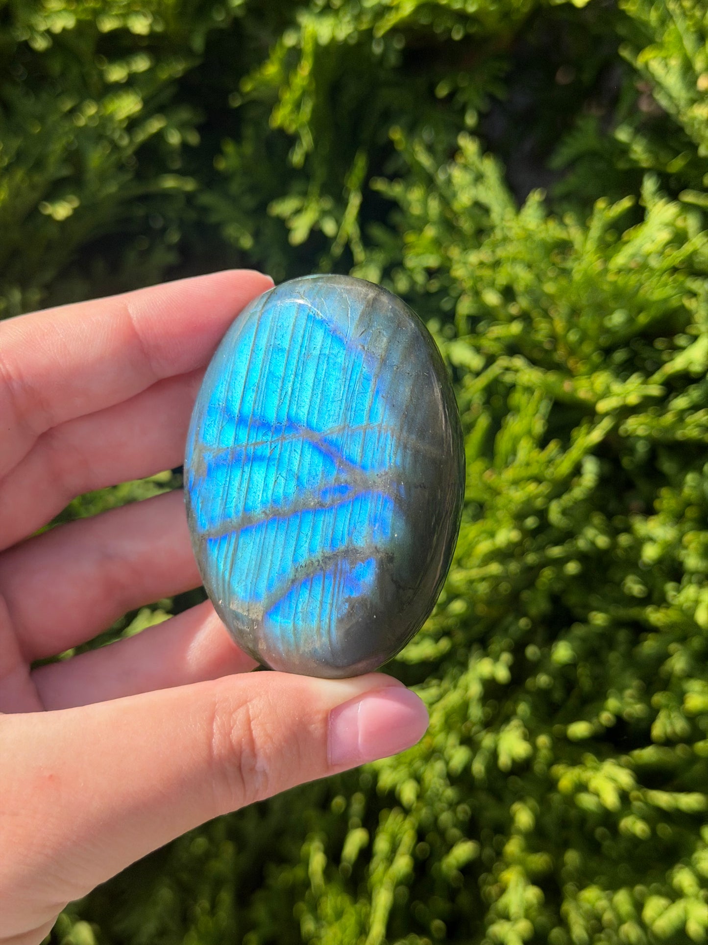 Labradorite Palm Stone