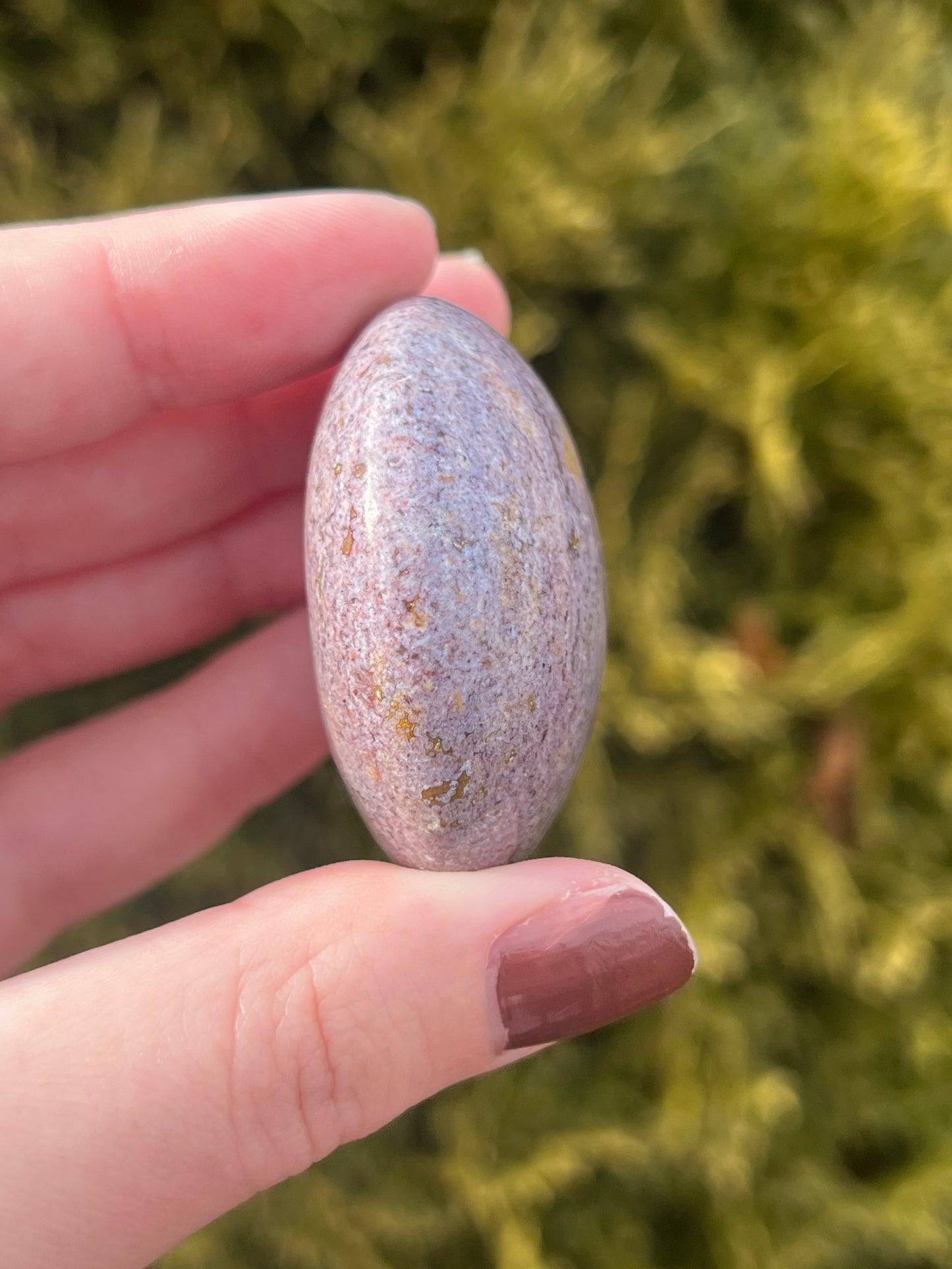 Small Ocean Jasper Palm Stone