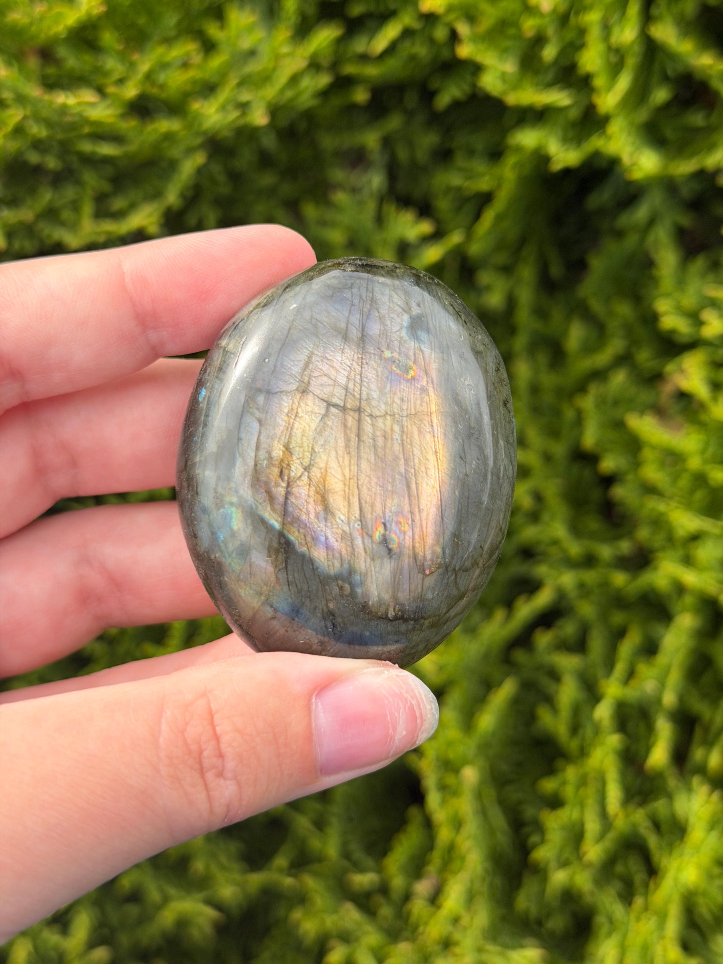 Small Labradorite Palm Stone