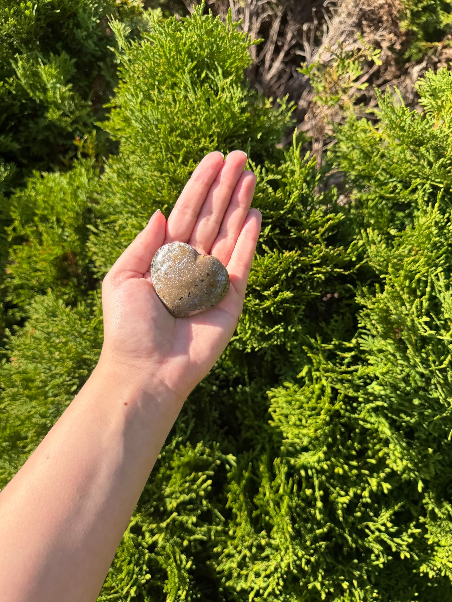 Ocean Jasper Heart
