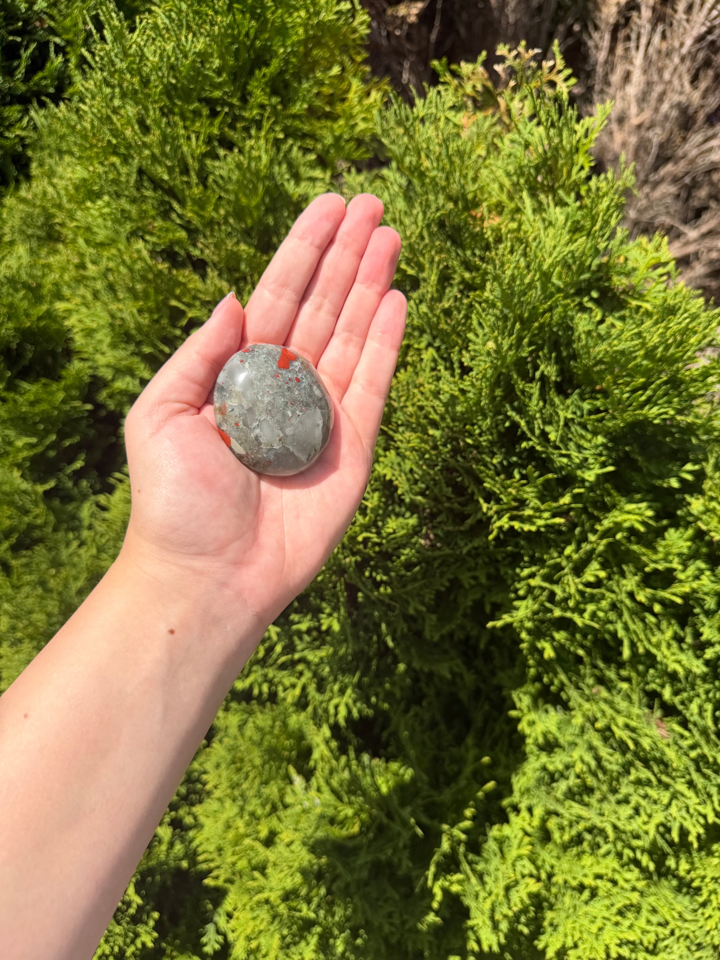 African Bloodstone Palm Stone 1