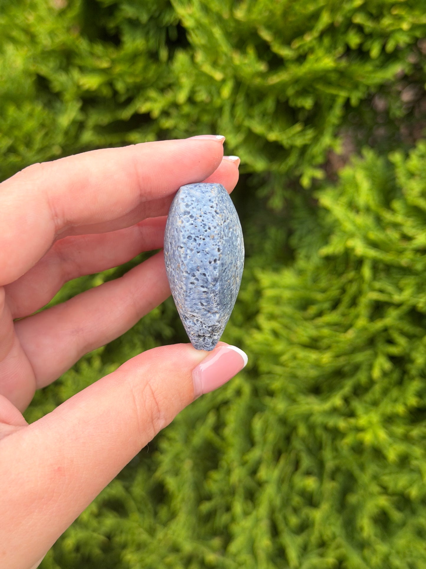 Blue Coral Jasper Heart