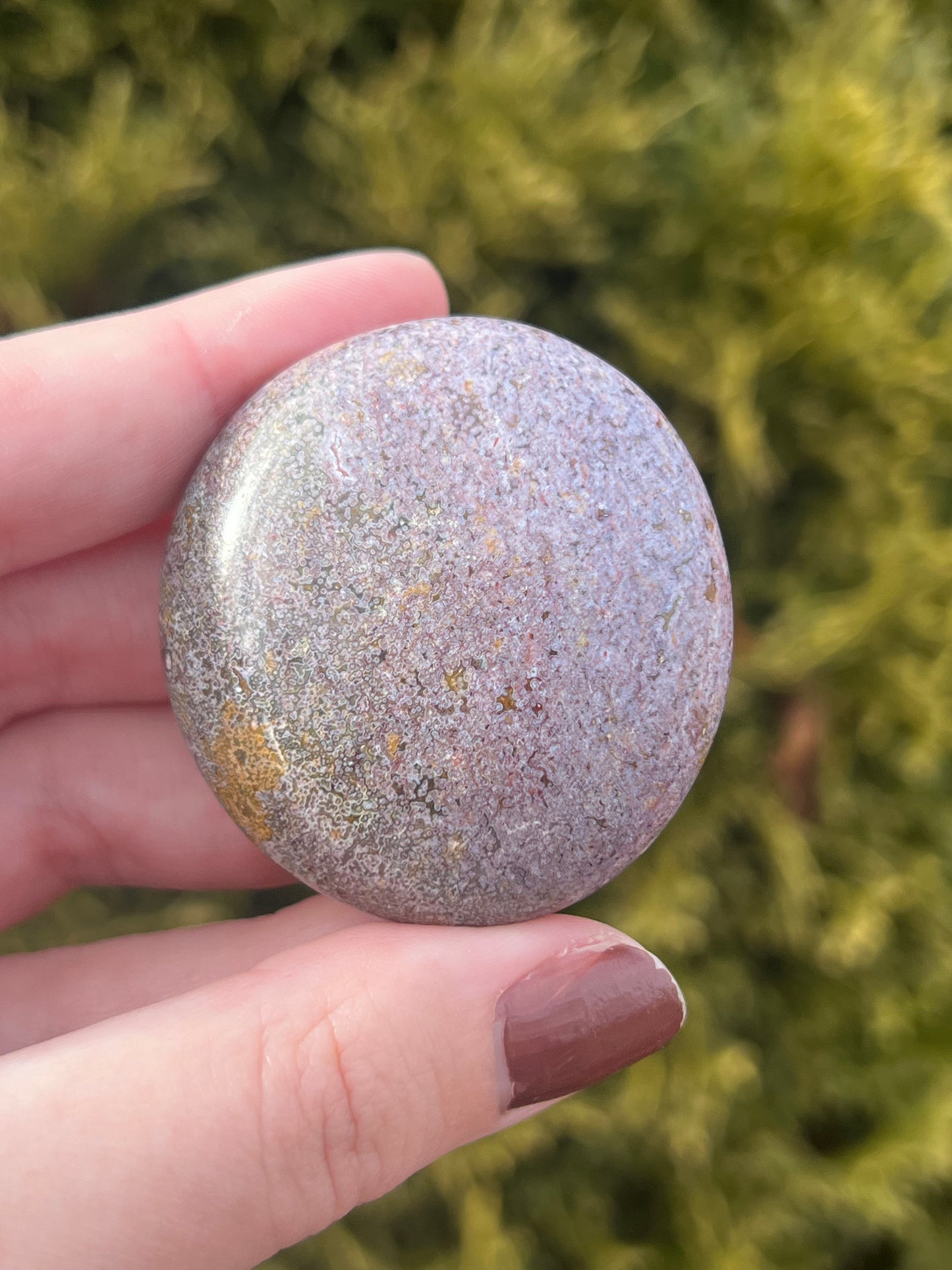 Small Ocean Jasper Palm Stone