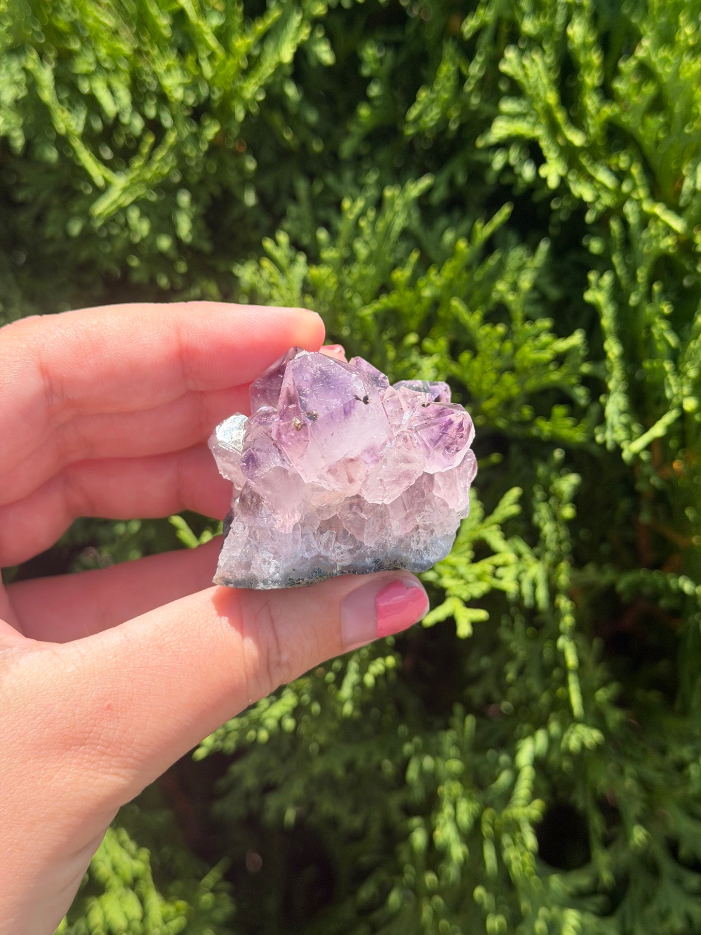 Raw Amethyst Cluster