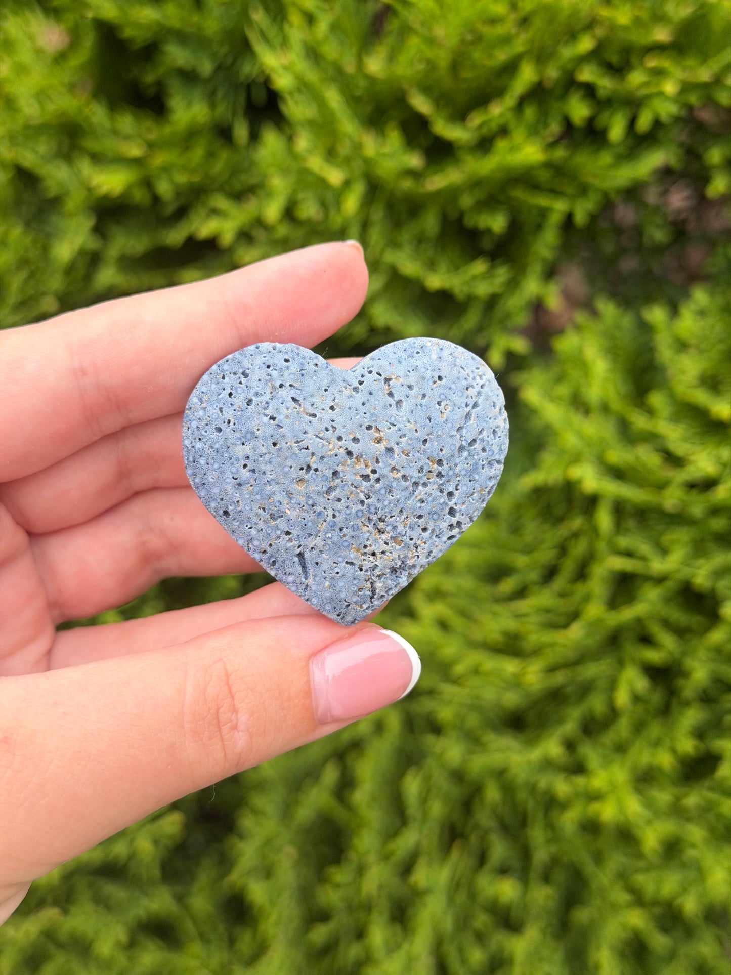 Blue Coral Jasper Heart