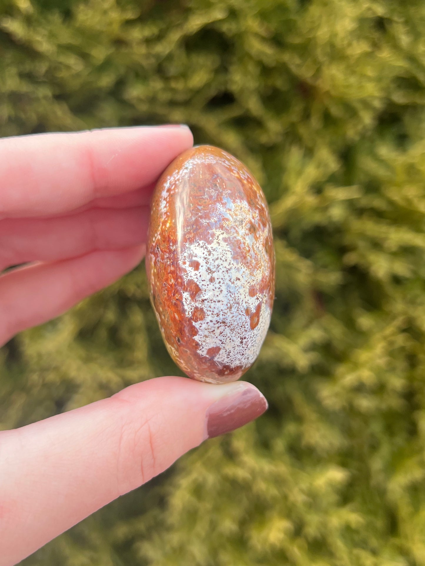 Small Ocean Jasper Palm Stone