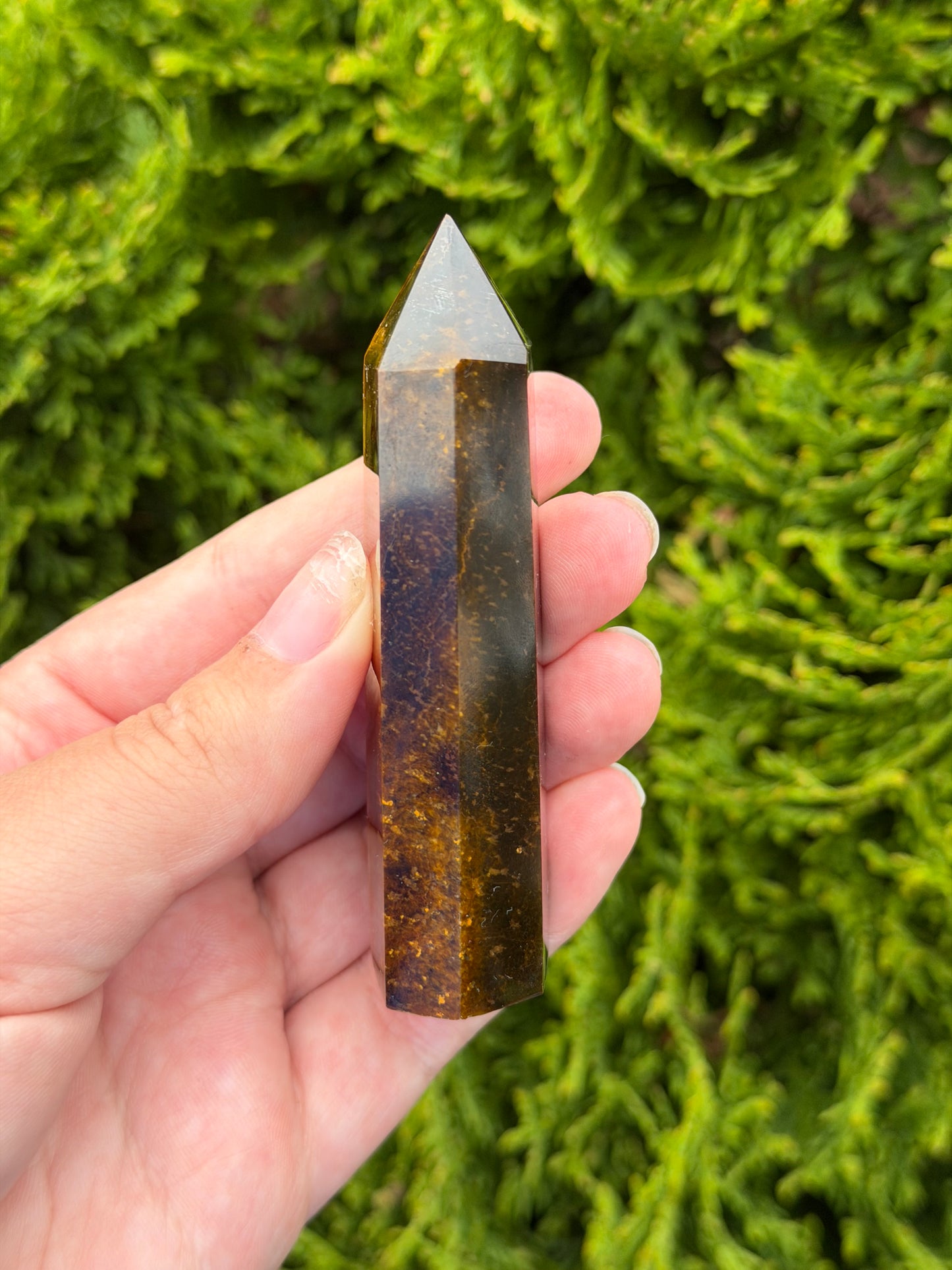 Tiger’s Eye Point 1