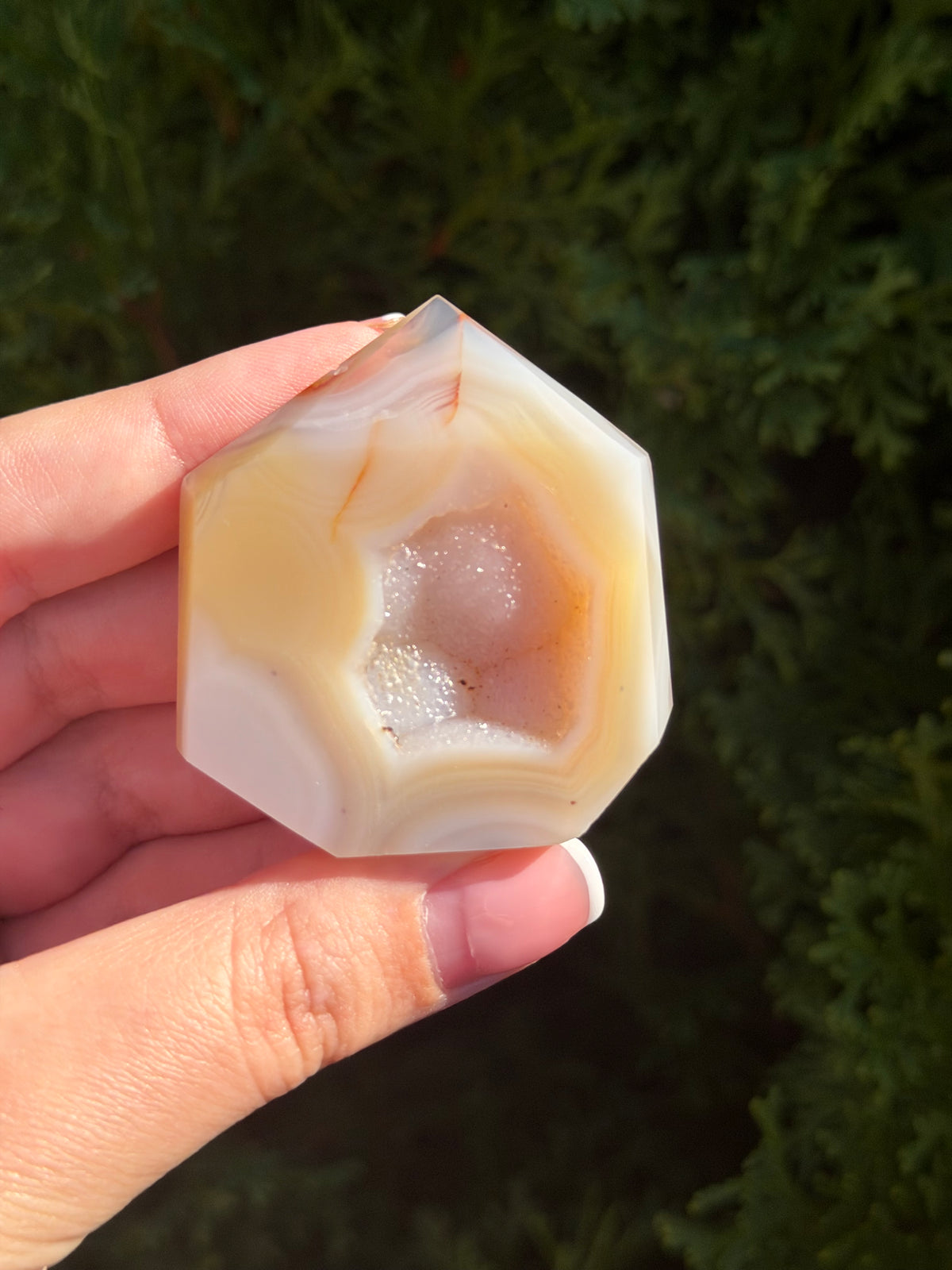 Flower Agate Druzy Point