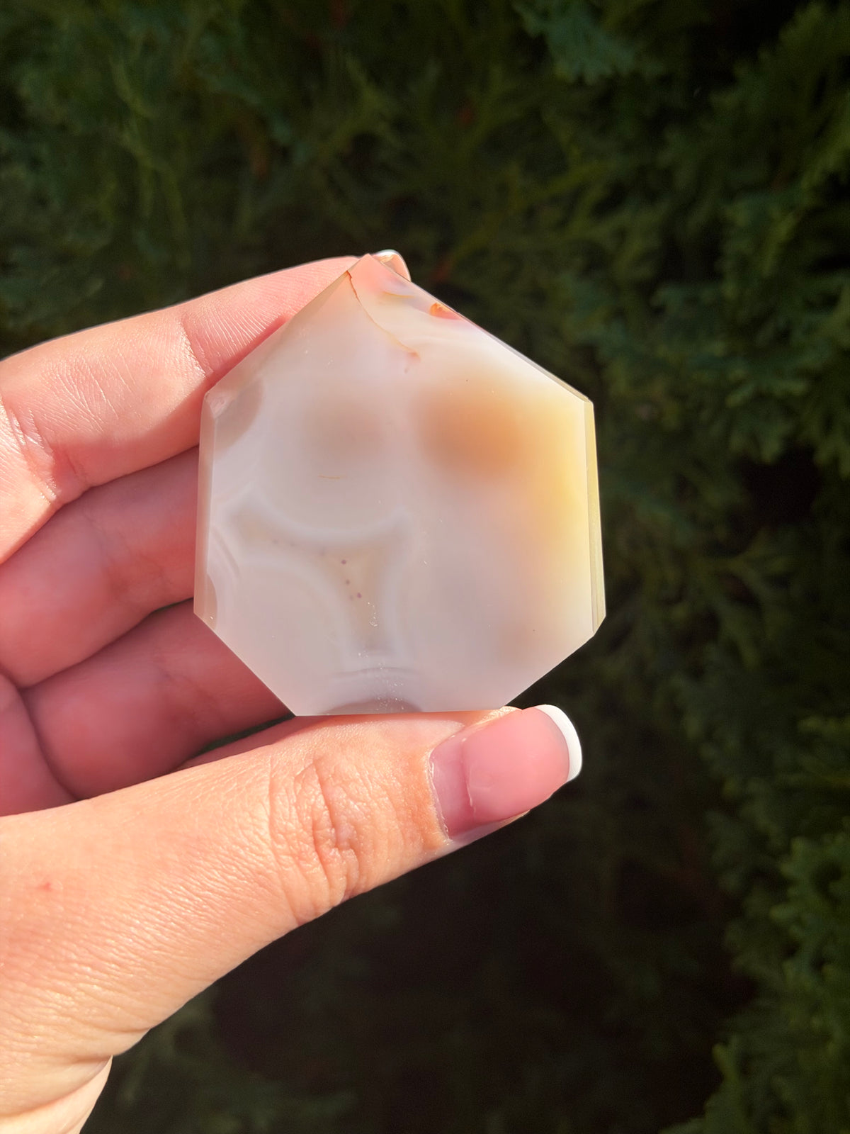 Flower Agate Druzy Point