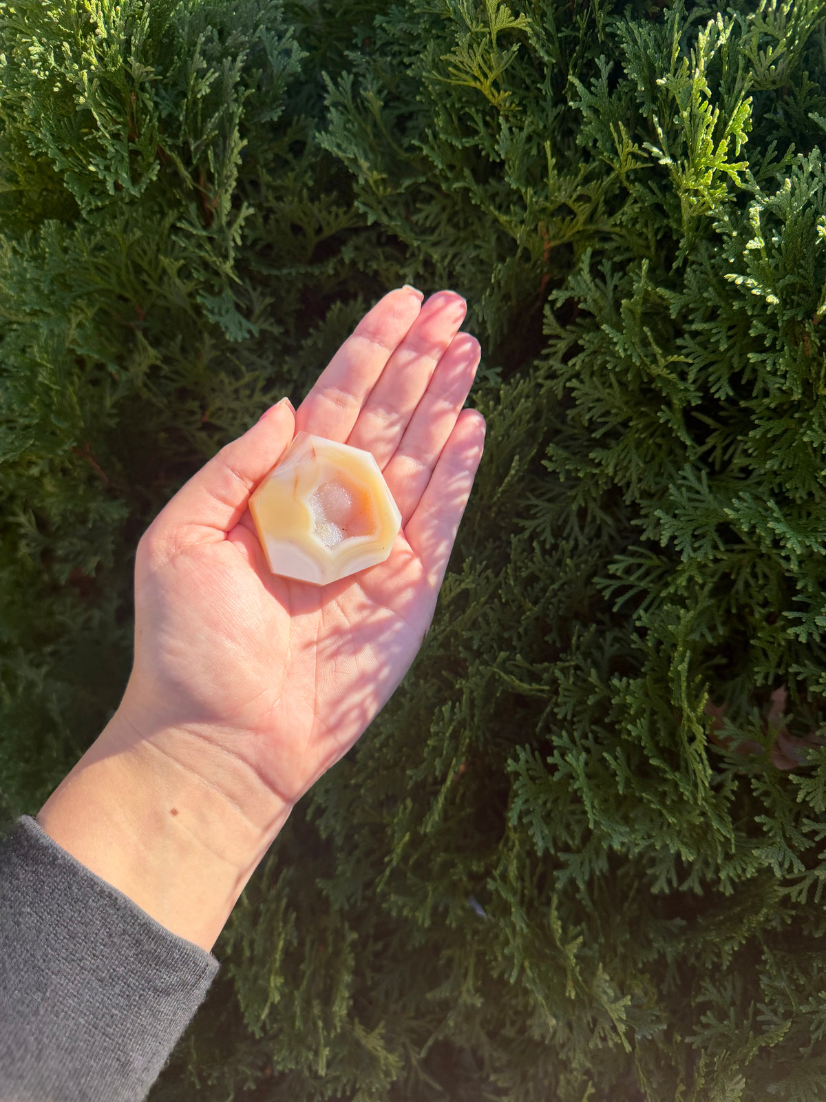 Flower Agate Druzy Point