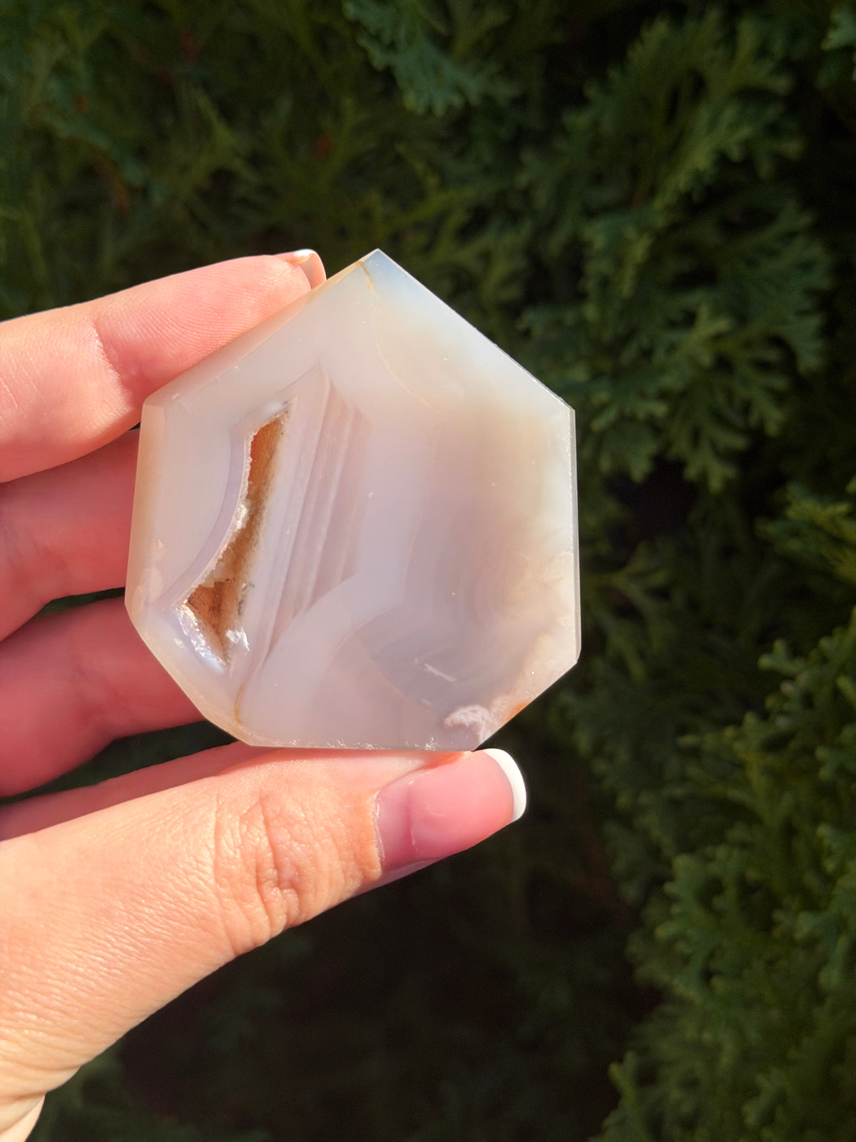 Flower Agate Druzy Point