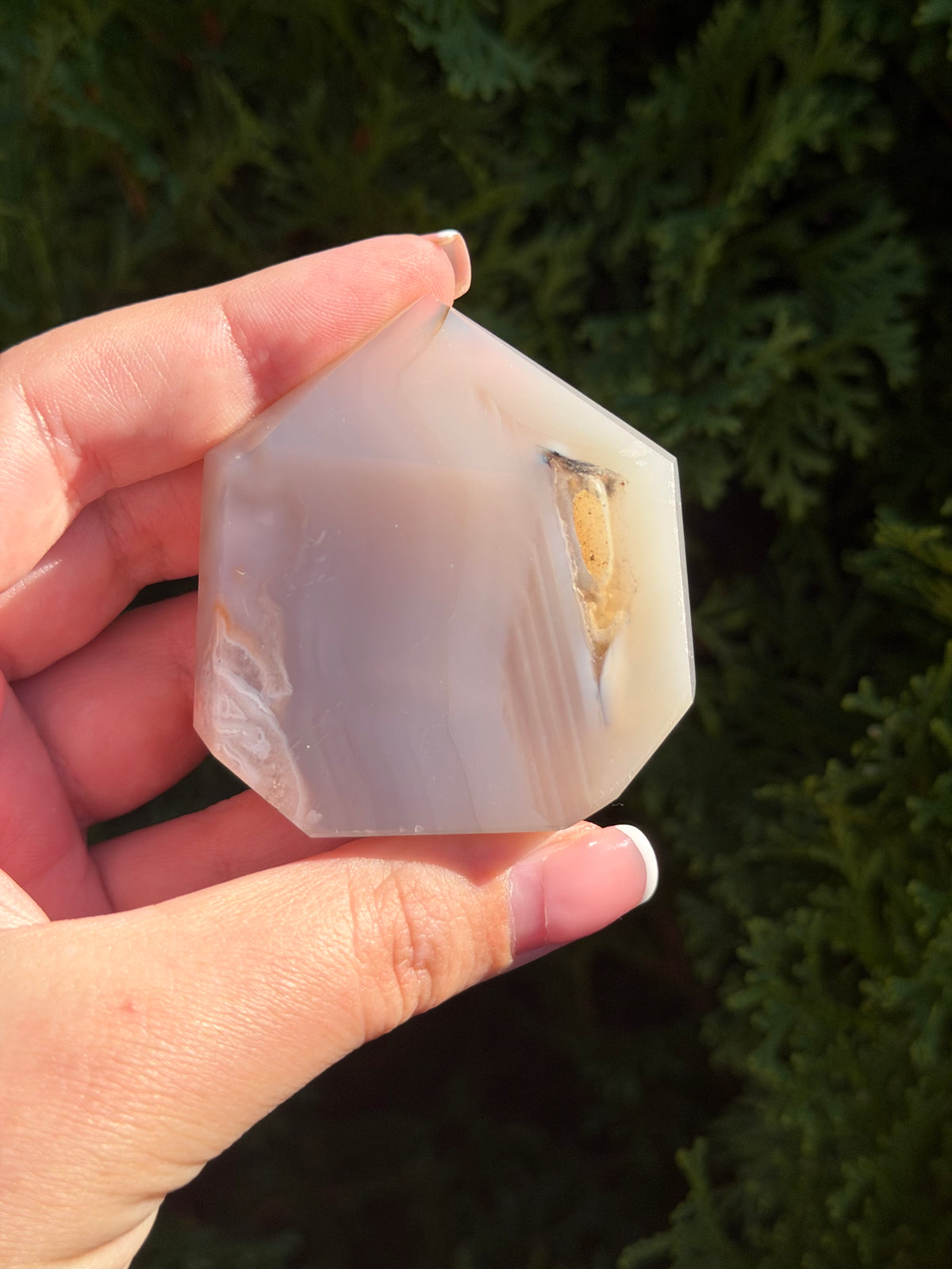 Flower Agate Druzy Point