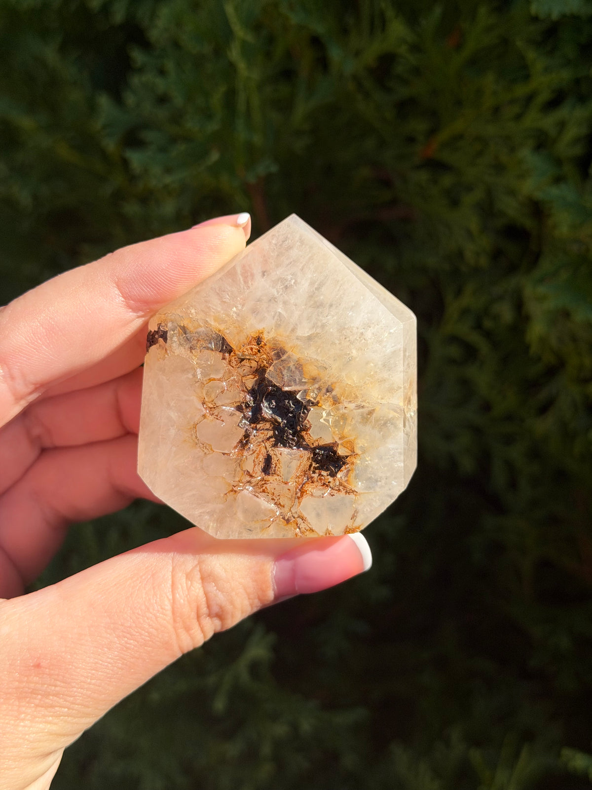 Flower Agate Druzy Point