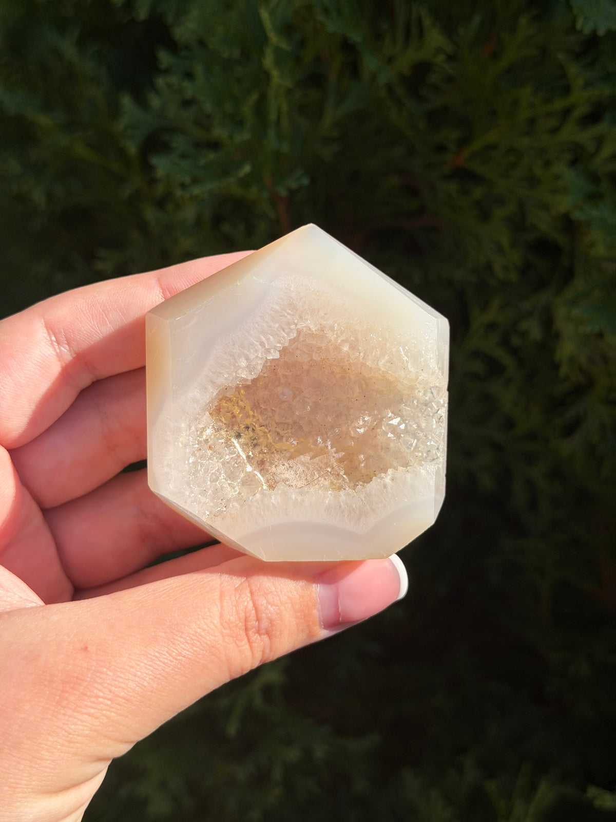 Flower Agate Druzy Point
