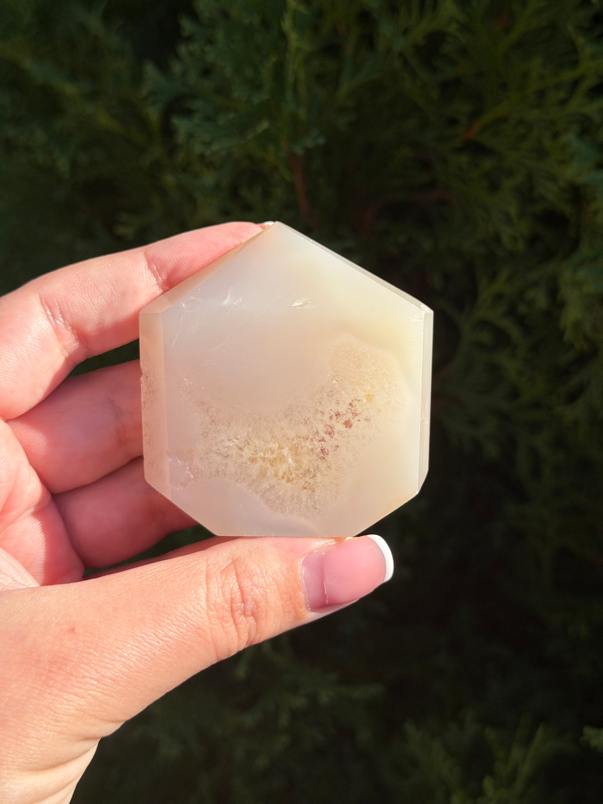 Flower Agate Druzy Point