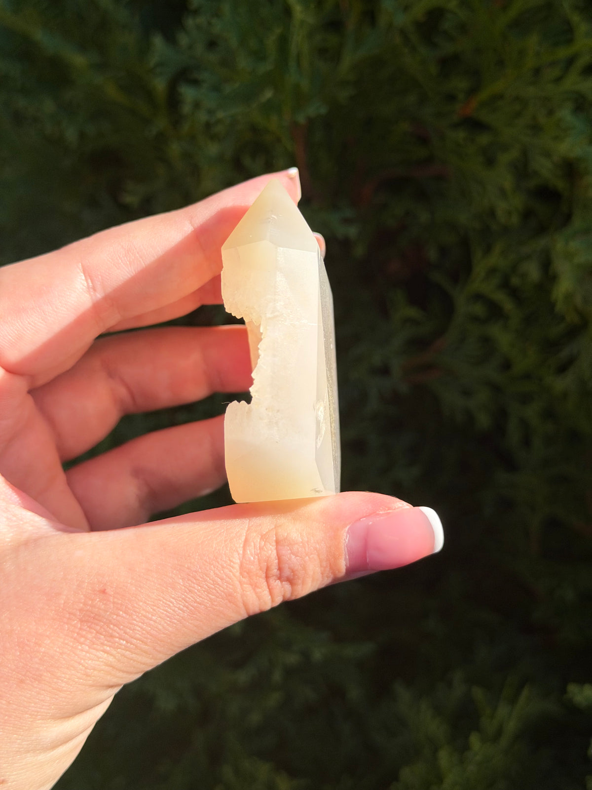 Flower Agate Druzy Point